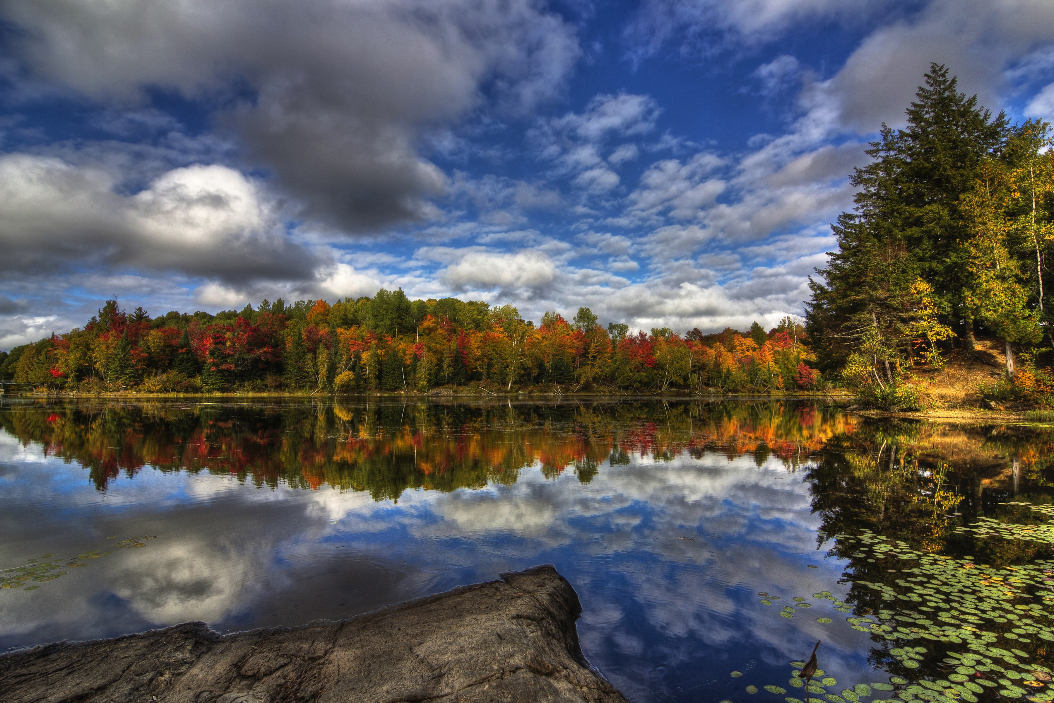 Autumn forest reflection on a lake in Kingsbury, Quebec HD Wallpaper
