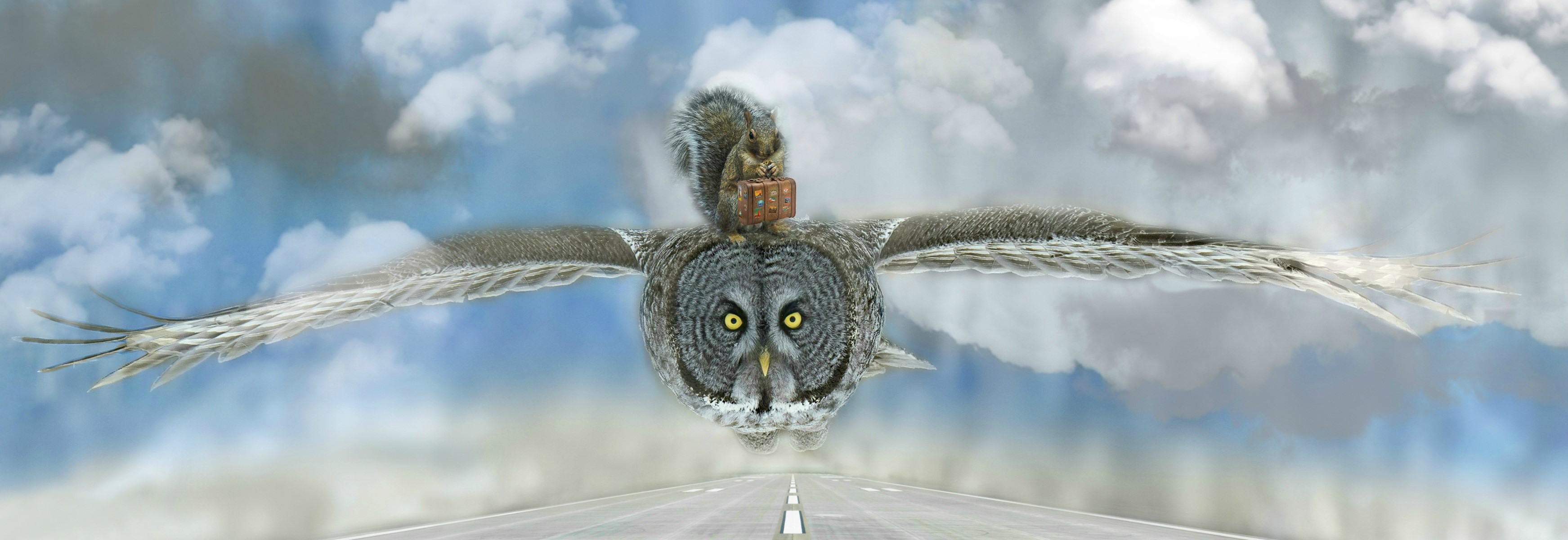 Owl flying with a squirrel and suitcase HD Wallpaper