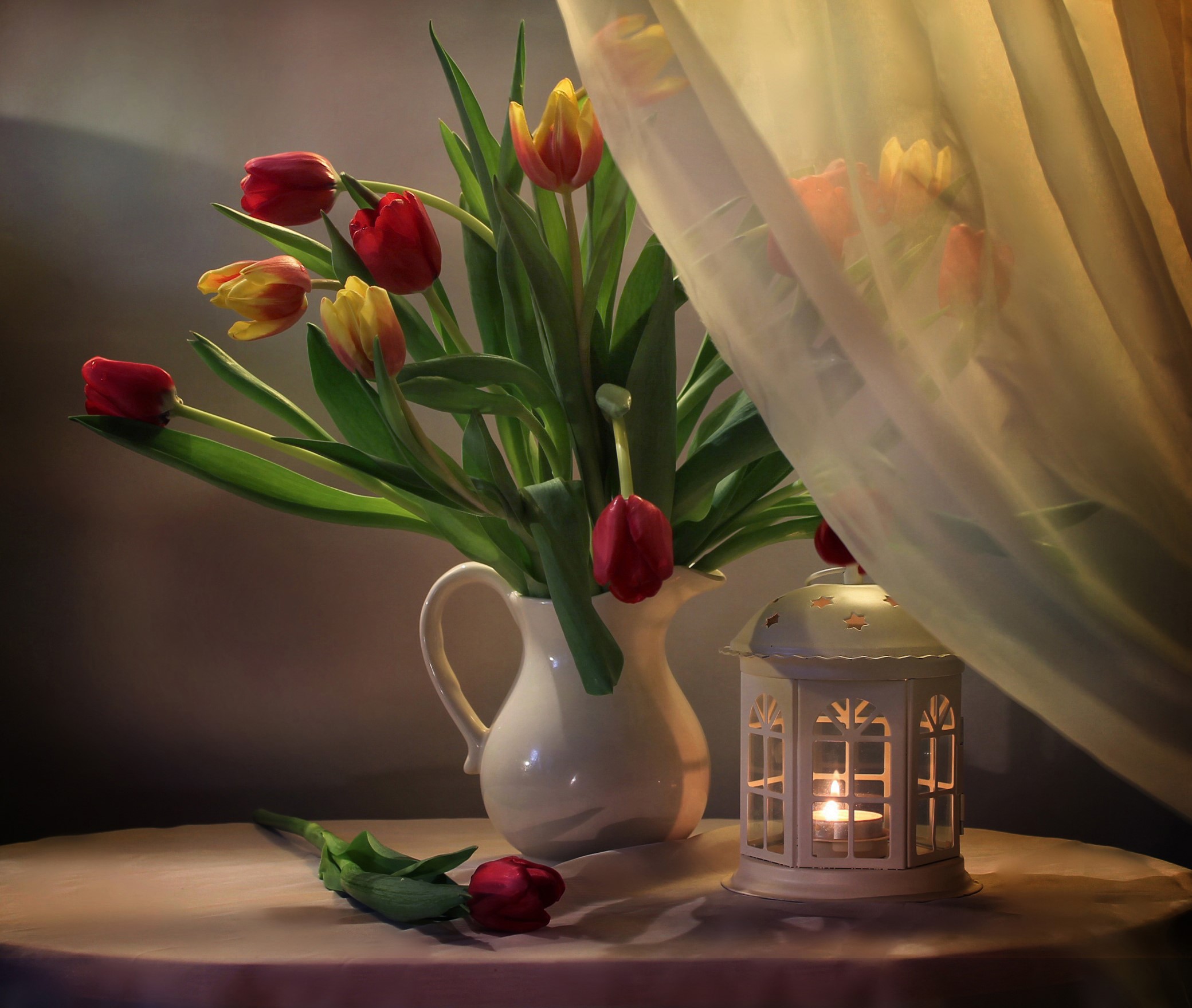 Tulips in a vase with a candle lantern HD Wallpaper