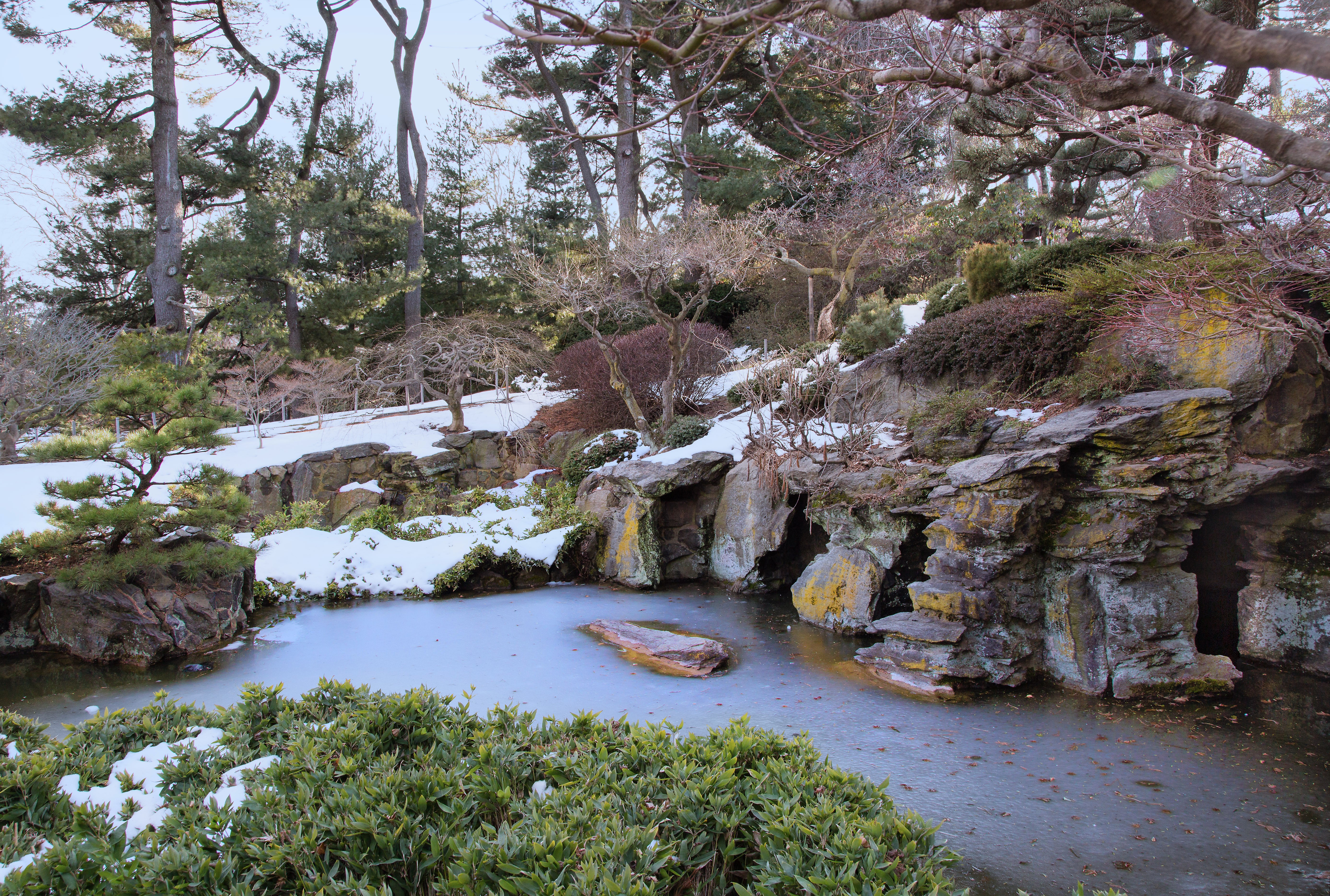 Brooklyn Botanic Garden in Snow HD Wallpaper