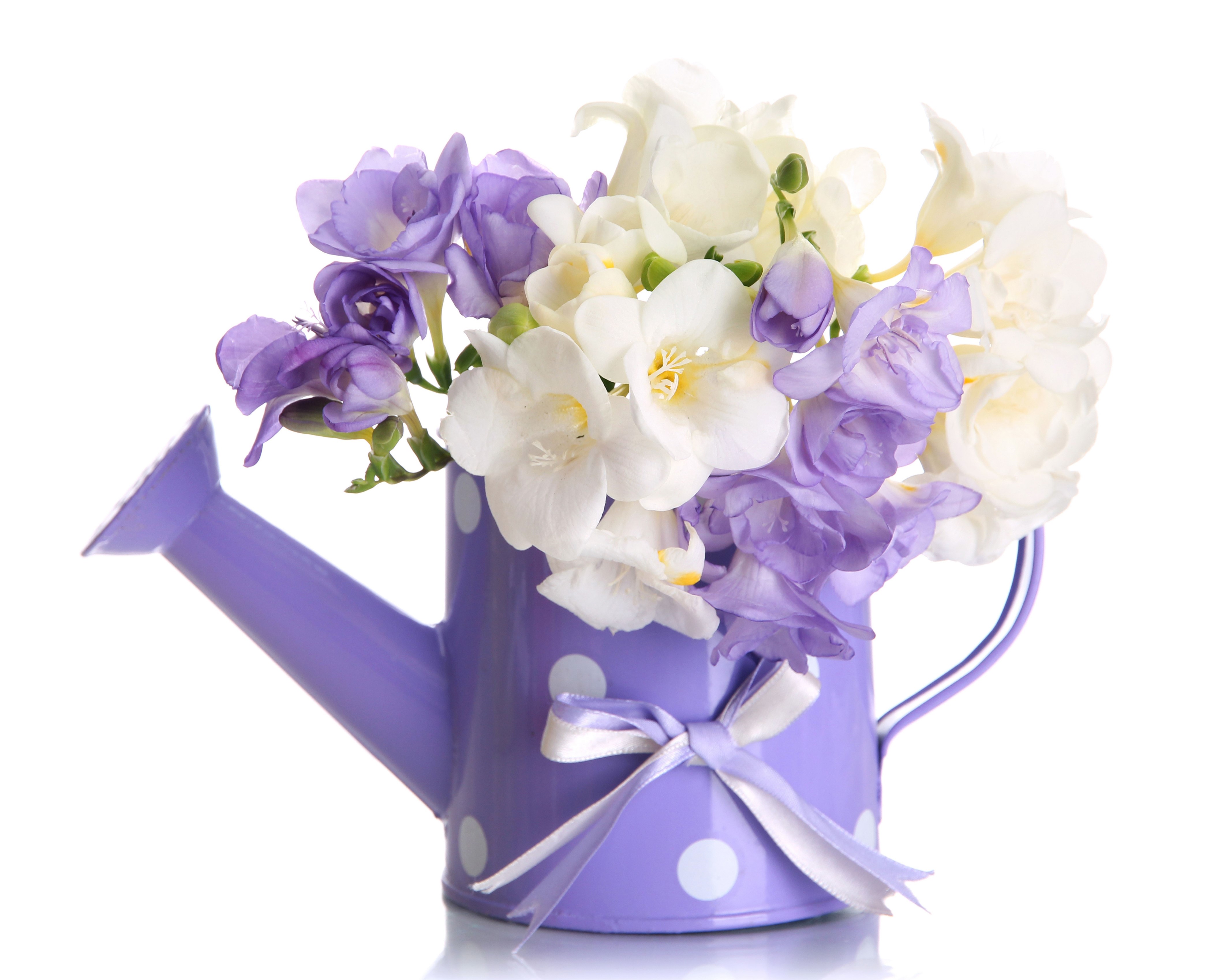Bouquet of Freesia in a Watering Can HD Wallpaper