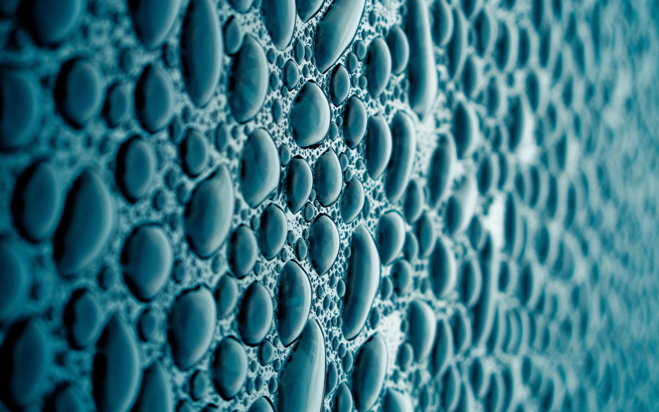 Close-up of water drops on a textured surface HD Wallpaper