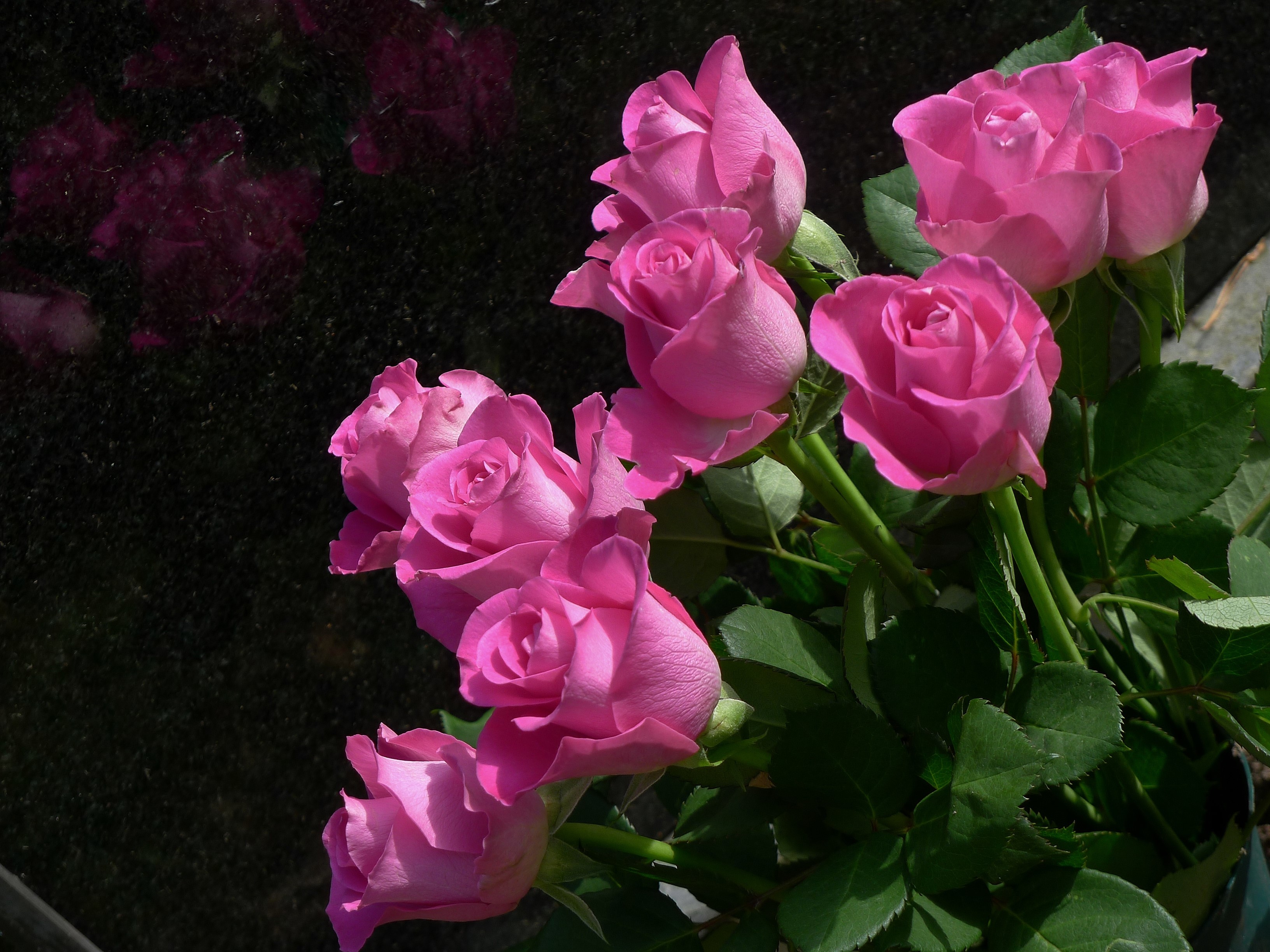 Bouquet of Pink Roses HD Wallpaper