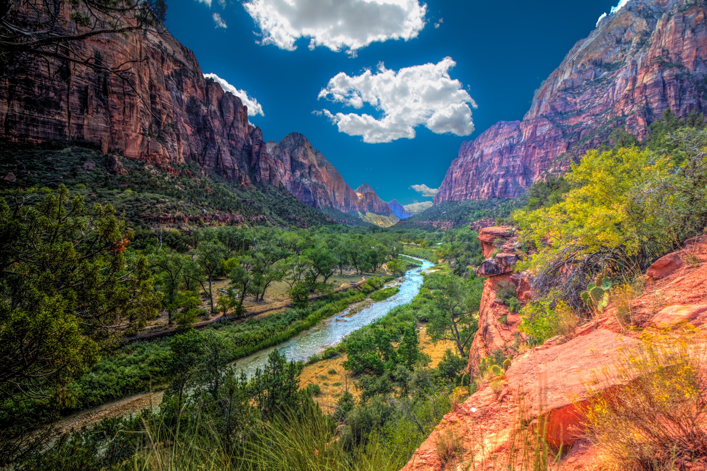 Zion National Park River Valley with Mountains HD Wallpaper