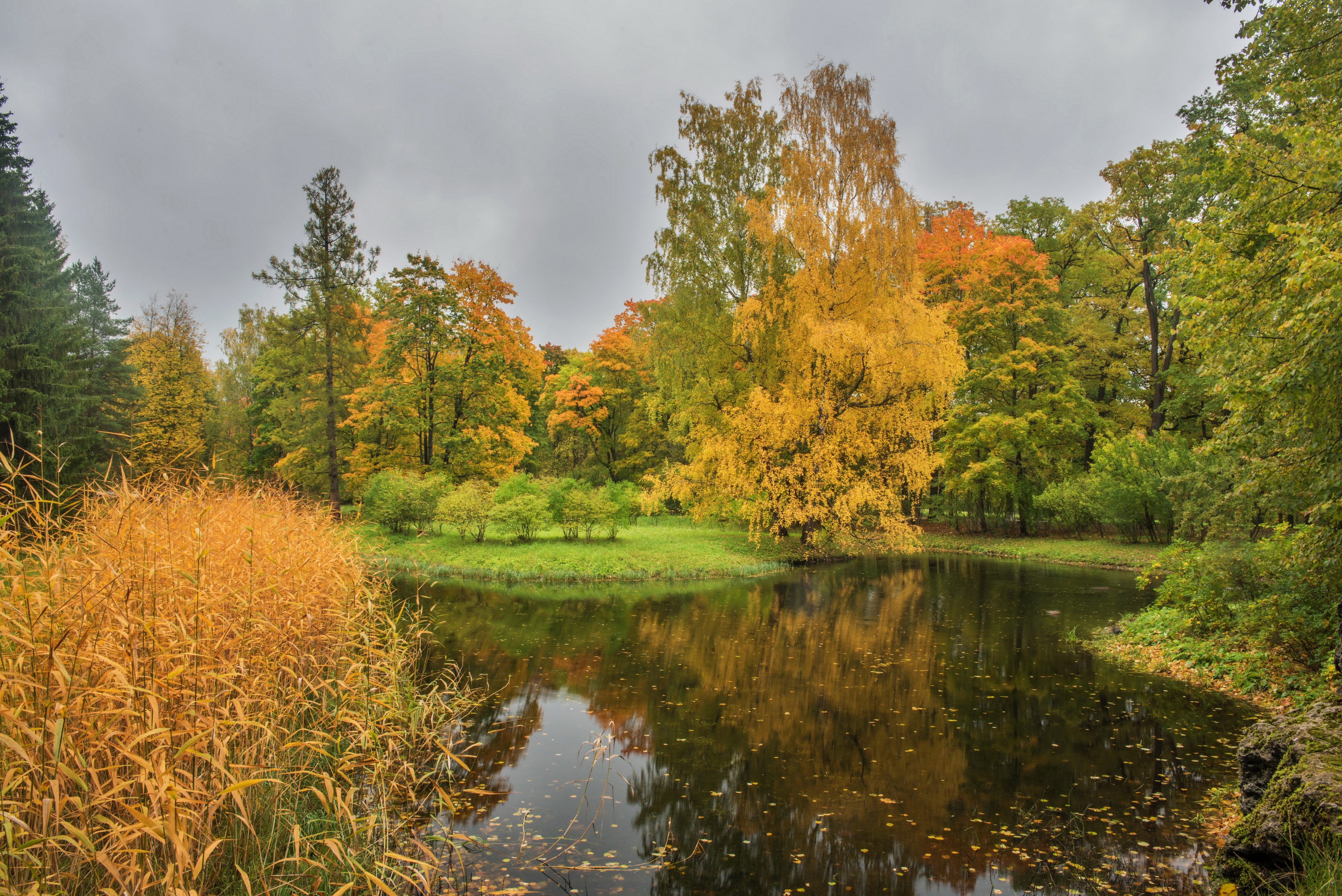 Autumn park with pond and trees in Pushkin, Russia HD Wallpaper