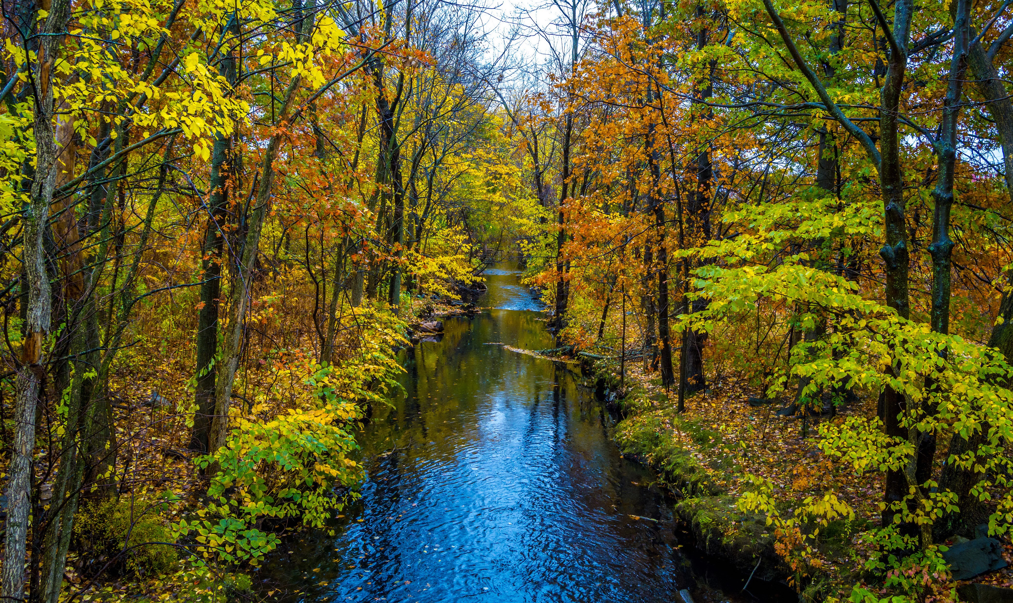 Autumn river flowing through a forest with colorful trees HD Wallpaper
