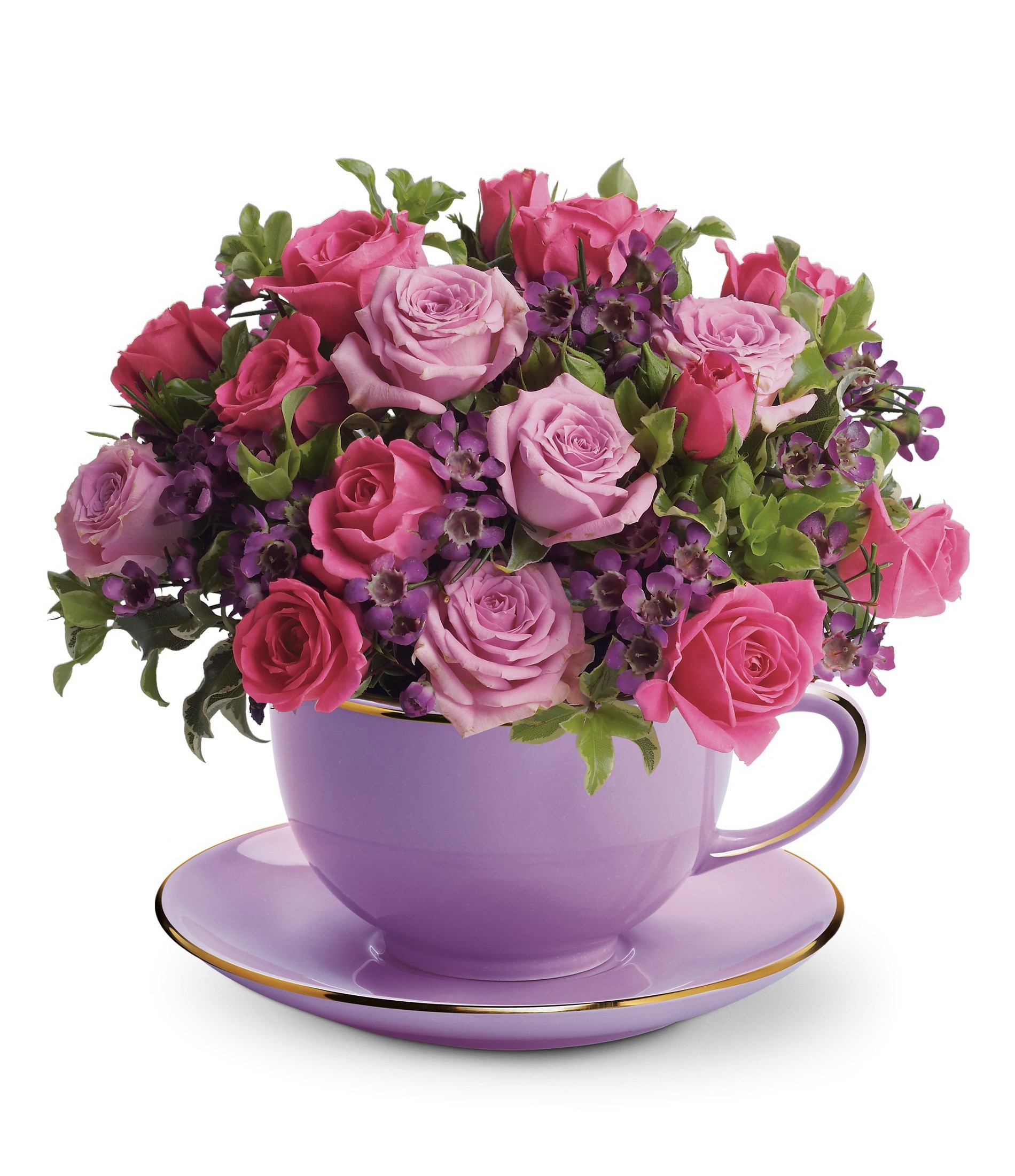 Pink and purple roses in a lavender teacup and saucer HD Wallpaper