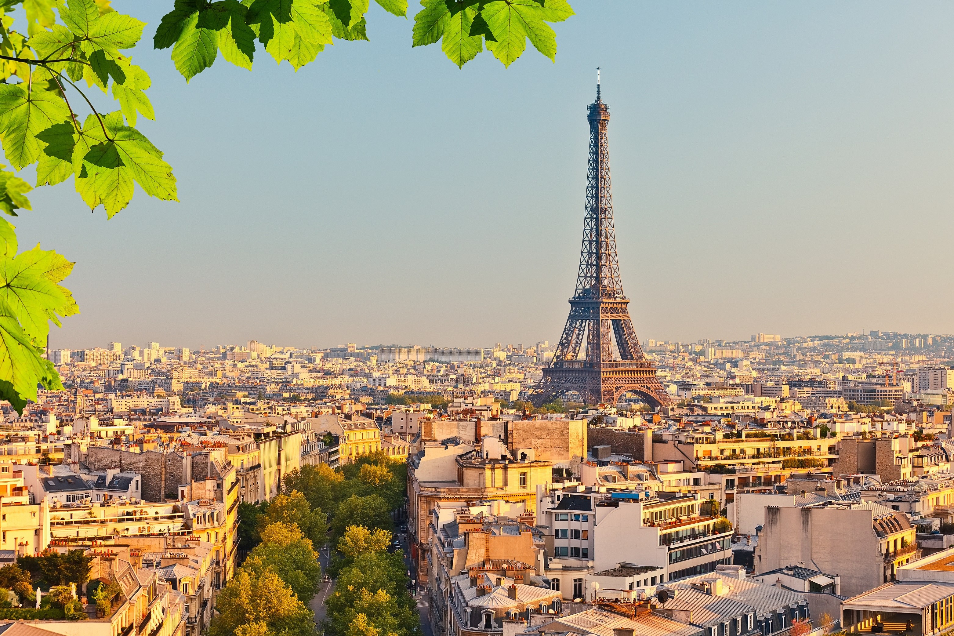 Paris cityscape with Eiffel Tower and green leaves HD Wallpaper
