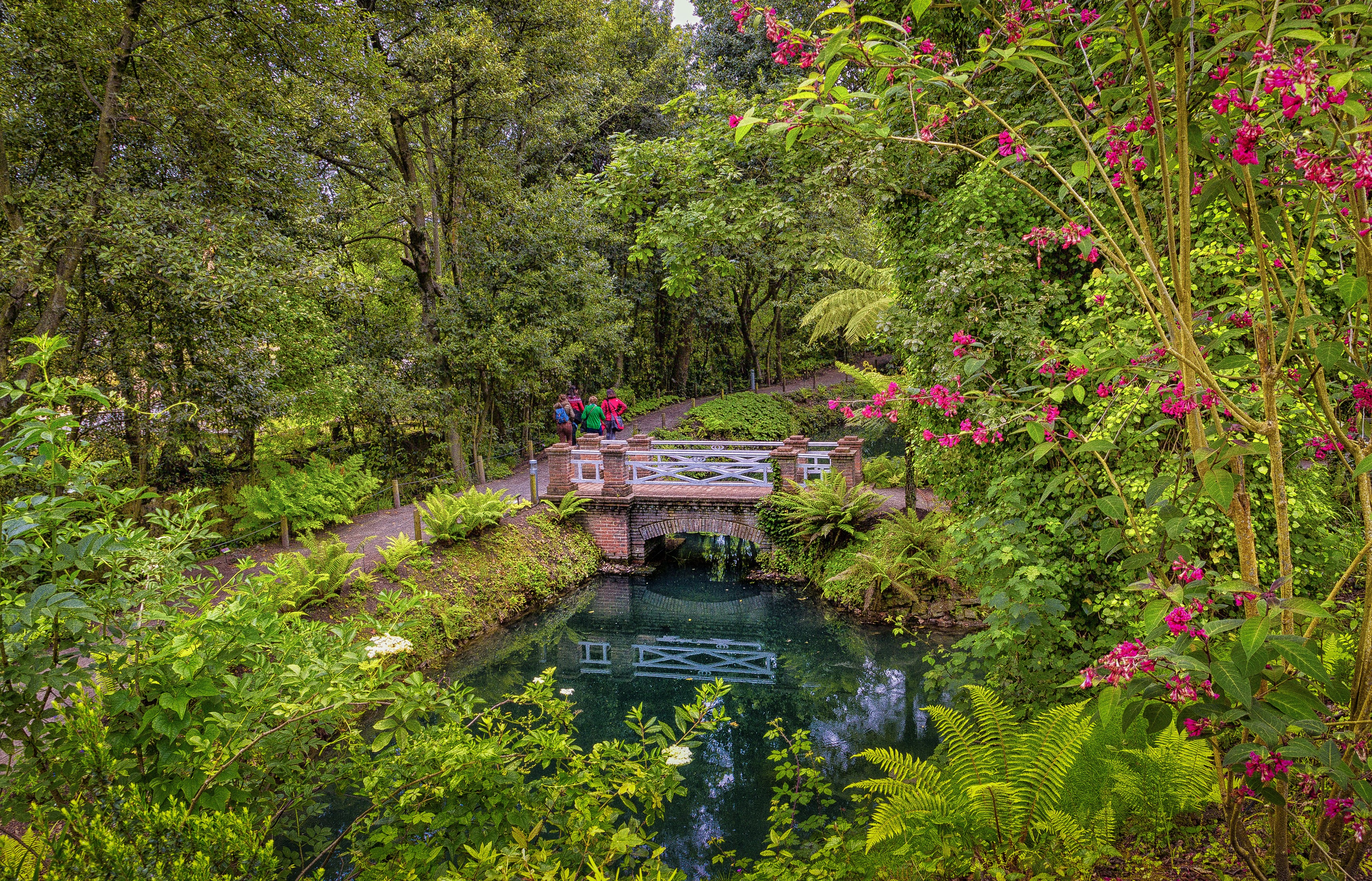 Brick bridge over a pond in a park with trees HD Wallpaper