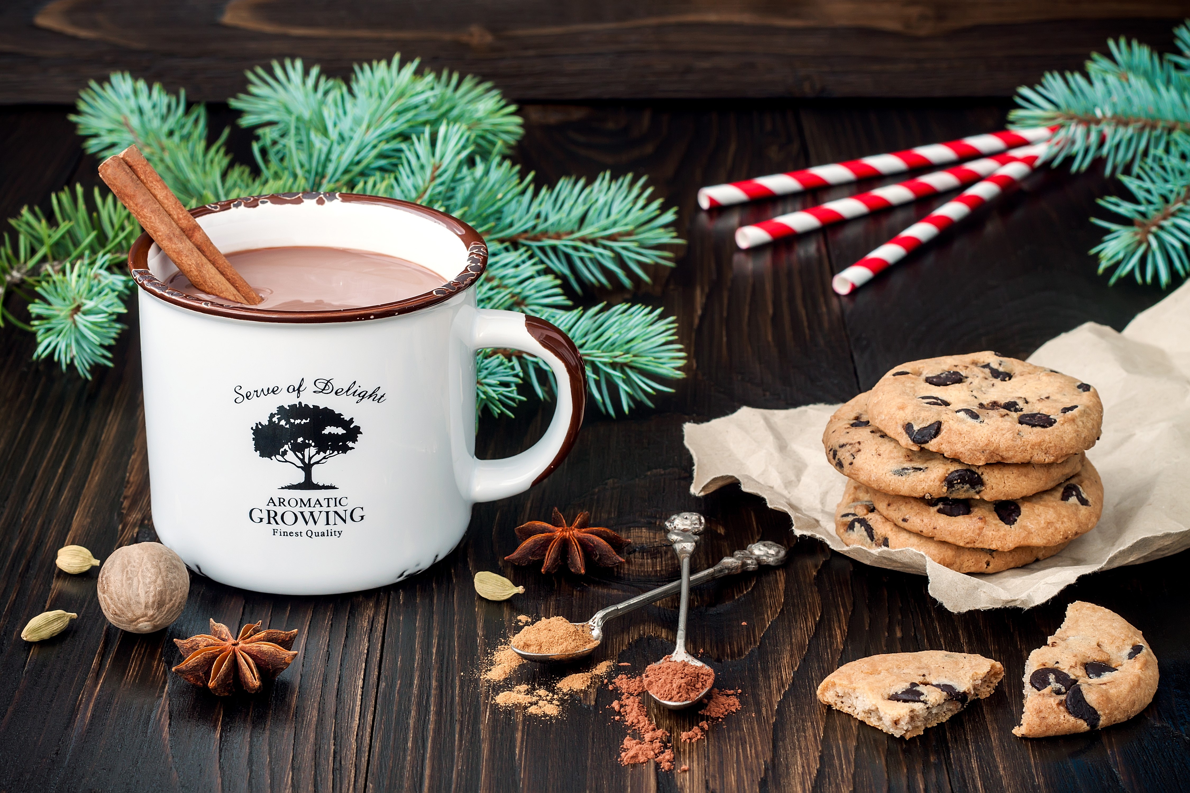 Hot chocolate with cookies and Christmas decorations HD Wallpaper