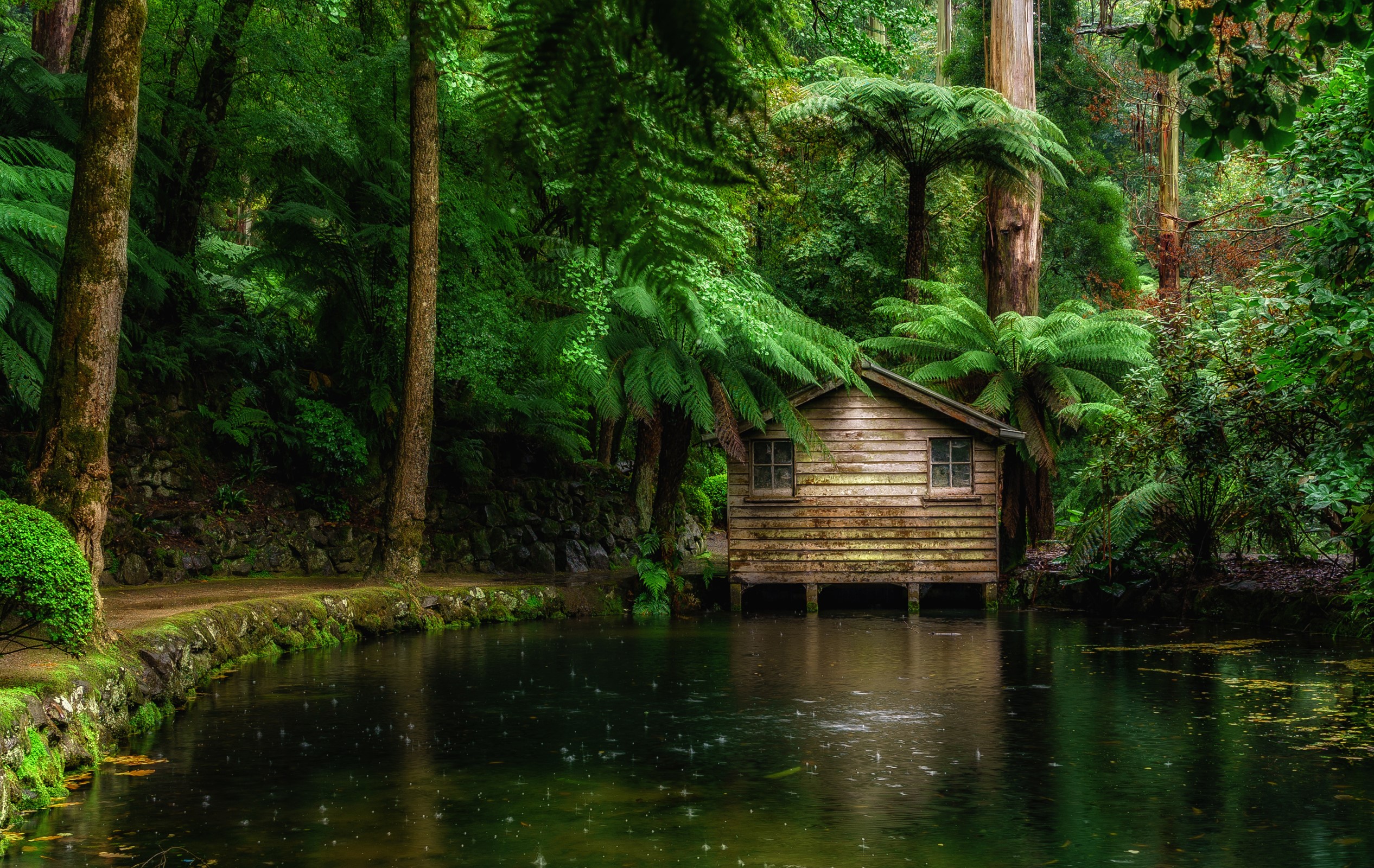 Wooden cabin by a pond in Alfred Nicholas Memorial Gardens, Australia HD Wallpaper
