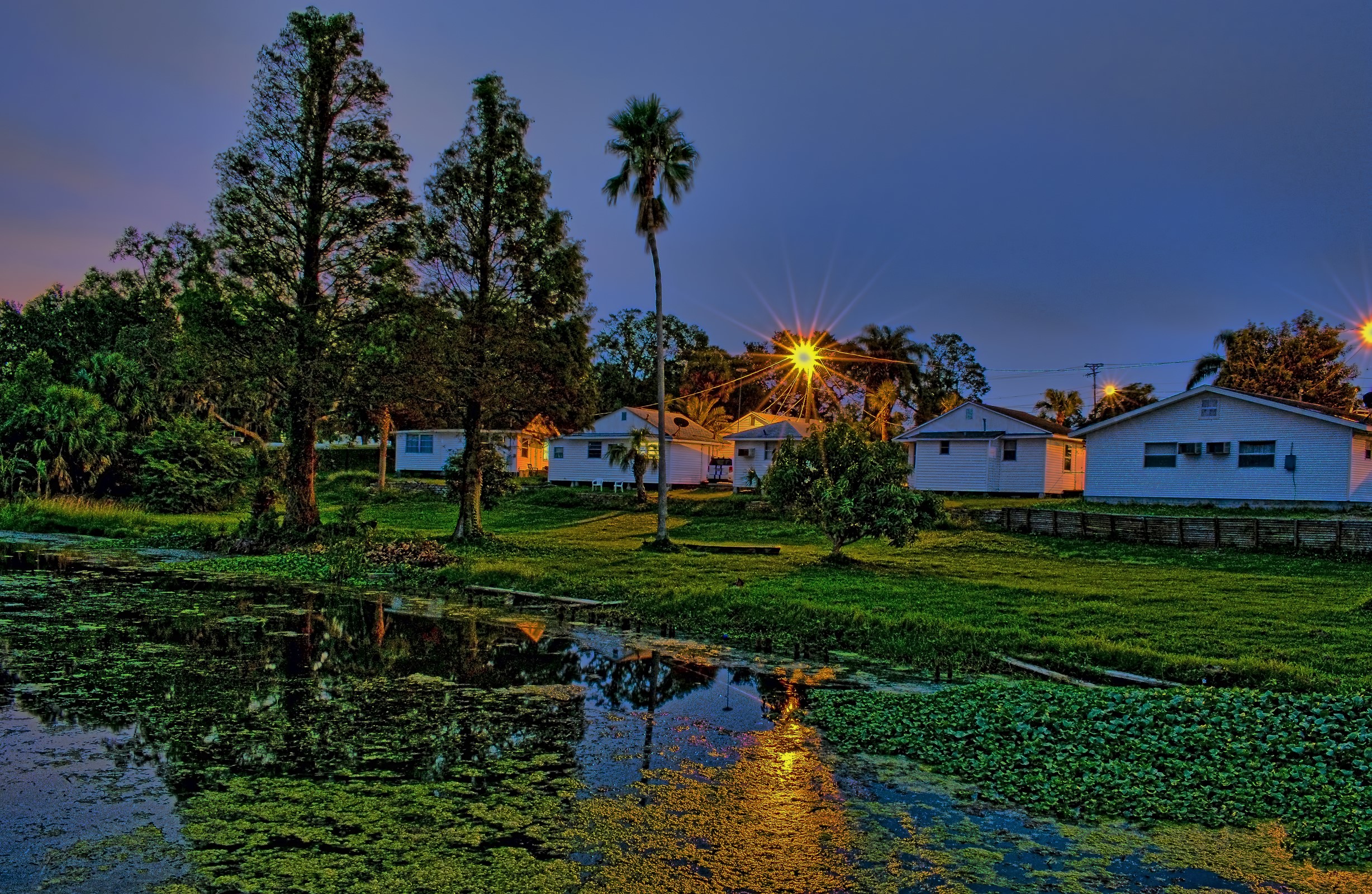Houses by a pond at dusk in Florida HD Wallpaper