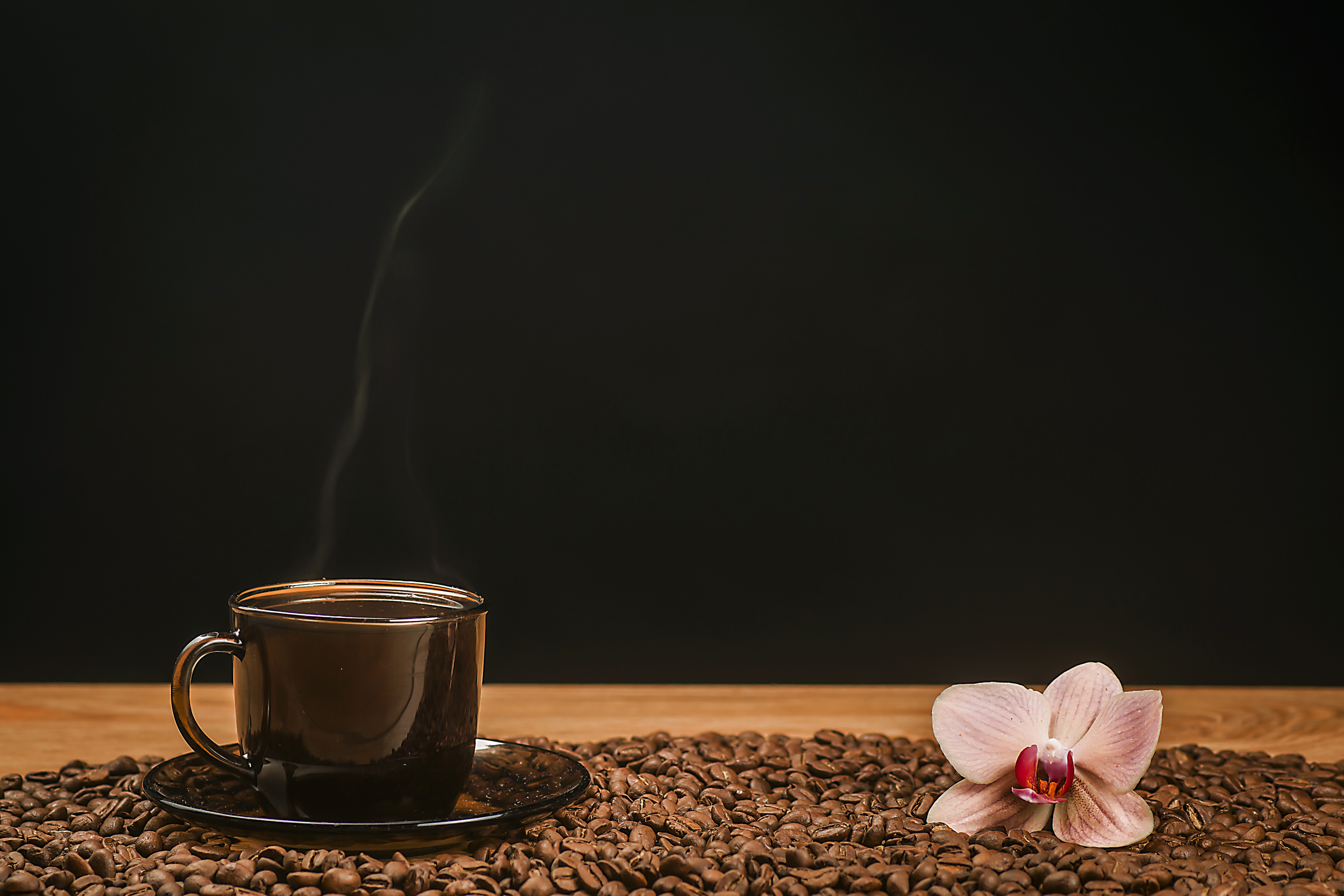 Coffee cup with orchid on coffee beans HD Wallpaper
