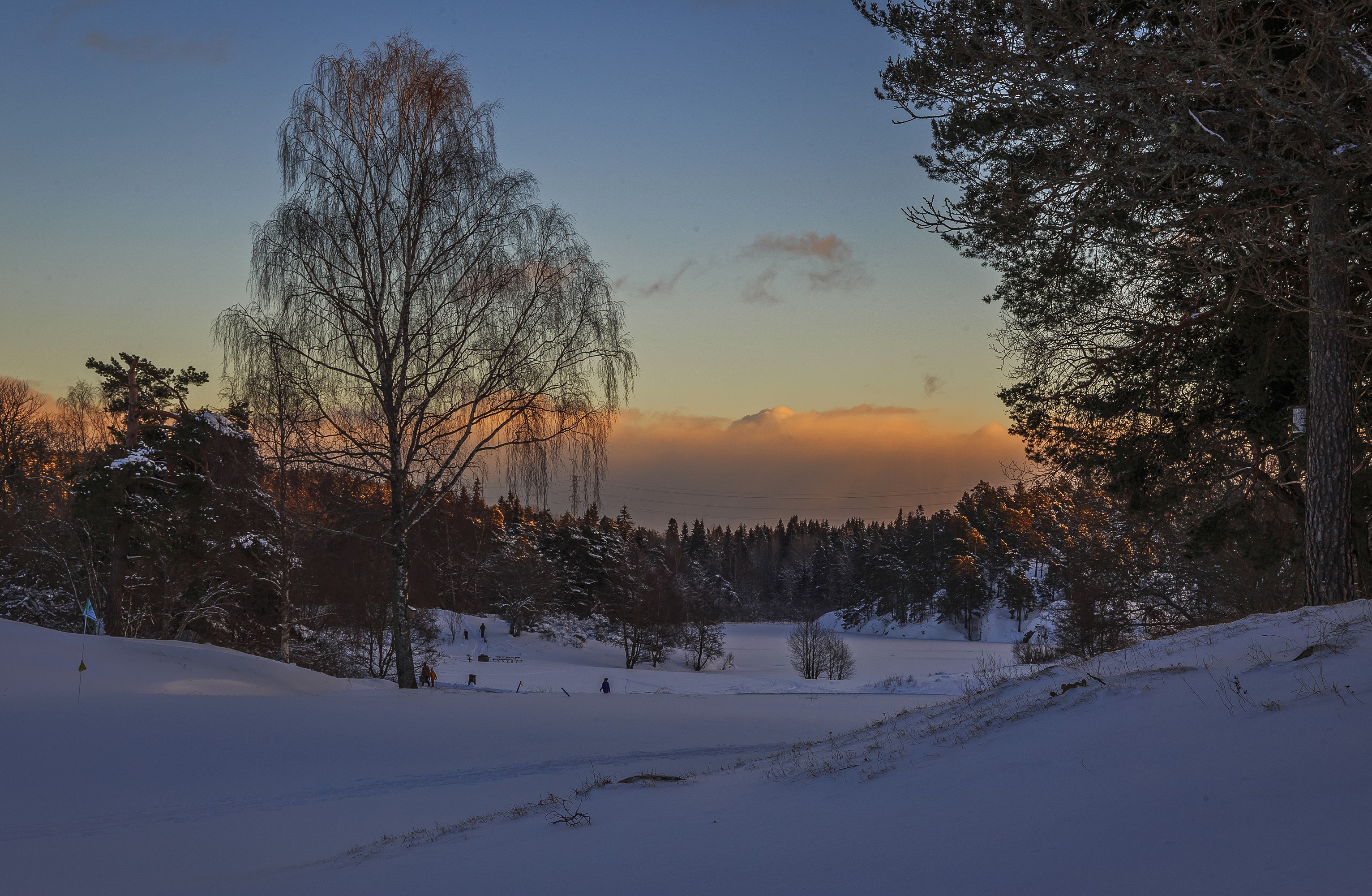 Winter landscape with snow-covered trees and a sunset sky HD Wallpaper