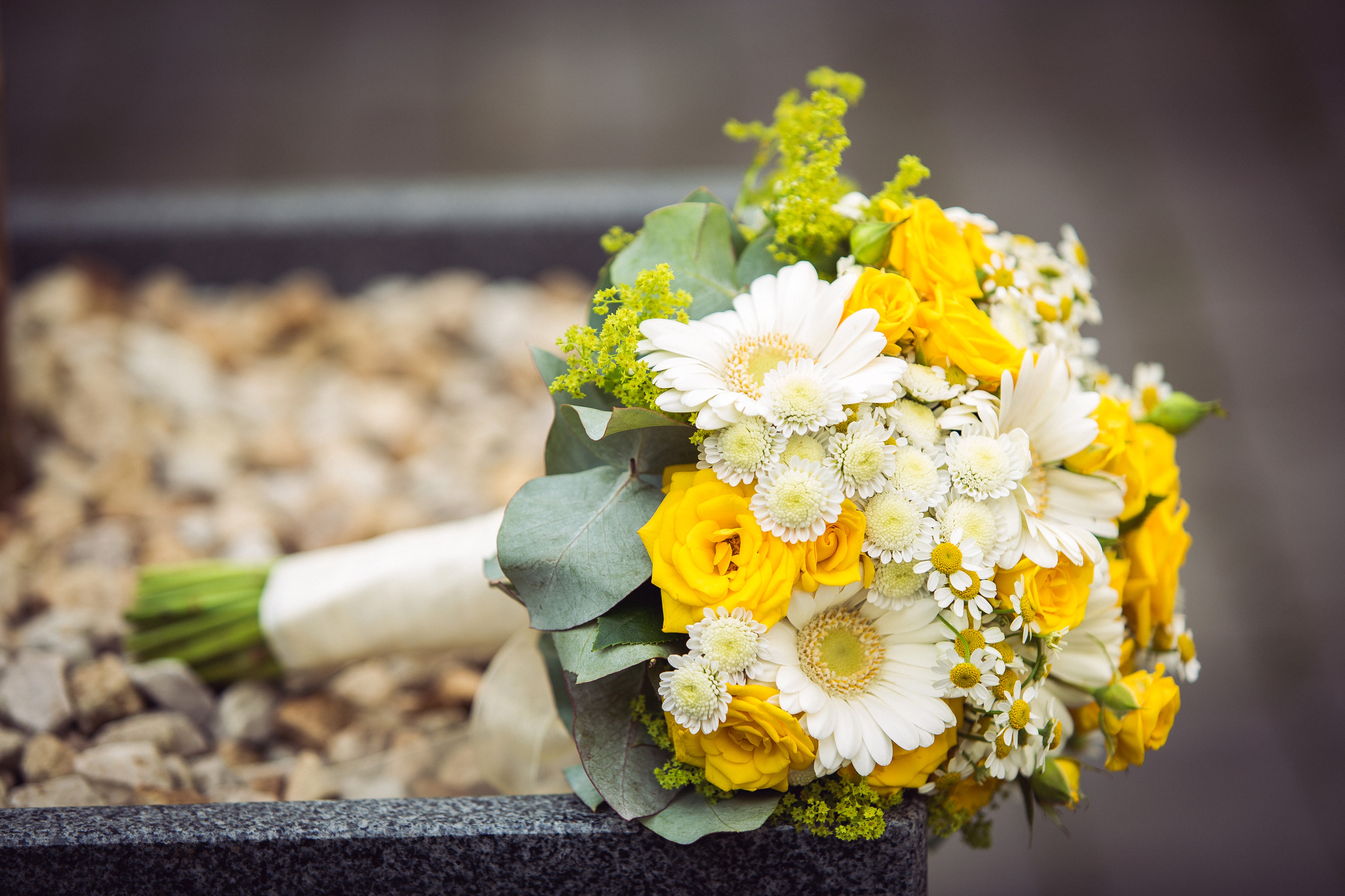 Bouquet of Yellow Roses, White Gerberas, and Chrysanthemums HD Wallpaper