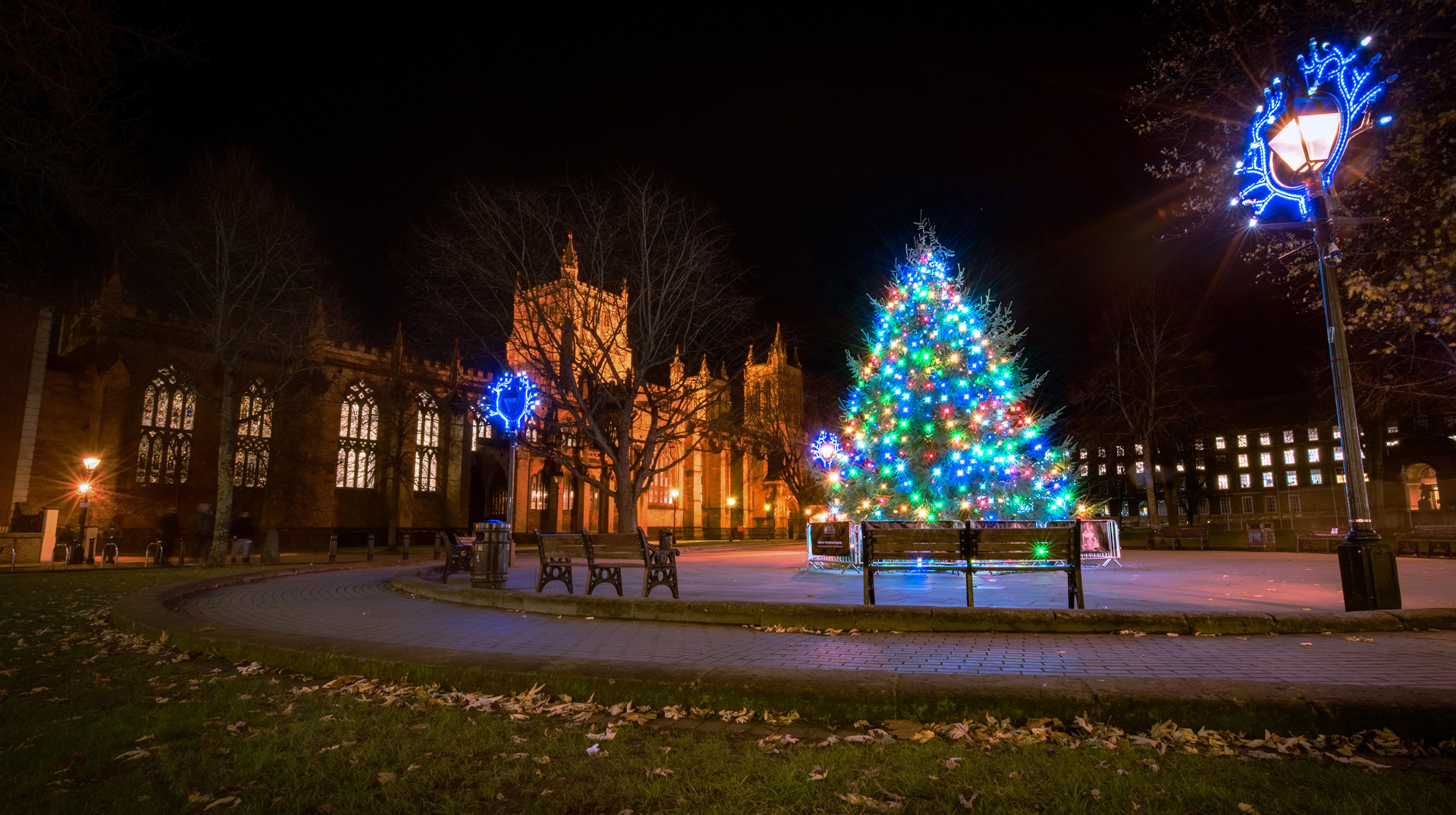 Christmas tree and church at night in Bristol, England HD Wallpaper