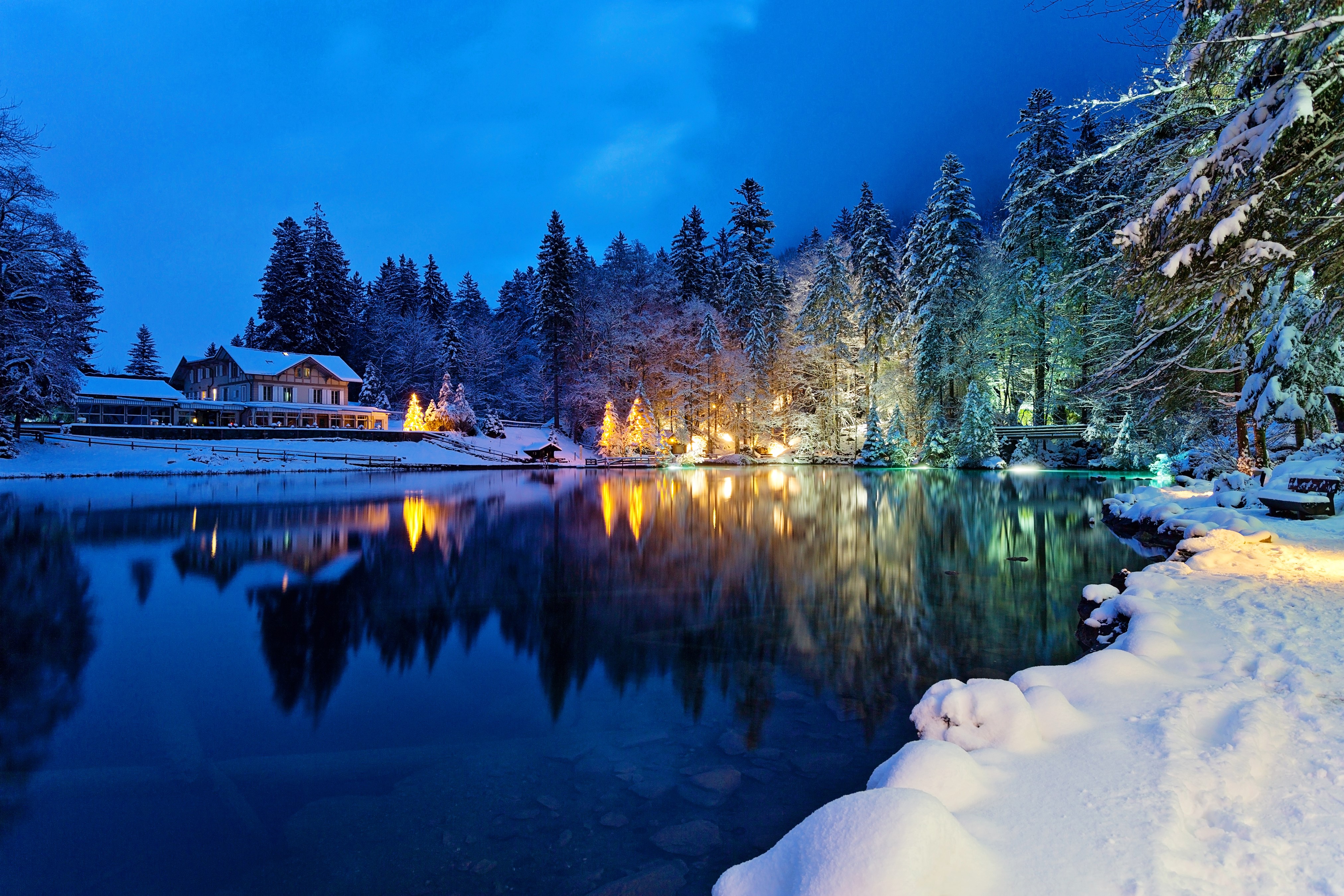 4K Winter Evening at Lake with Snow-Covered Trees and Houses in Switzerland HD Wallpaper