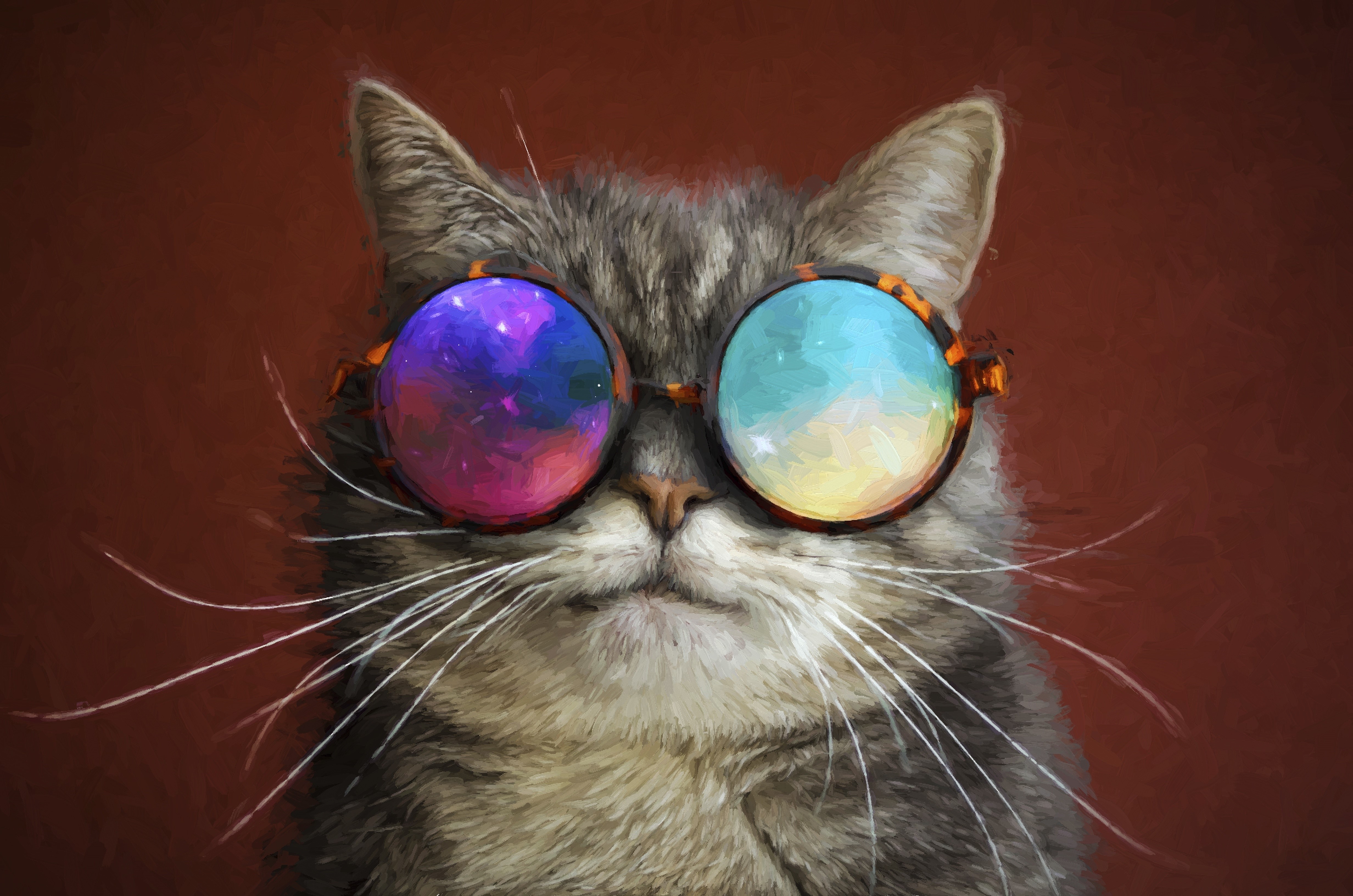 Cat Wearing Colorful Round Glasses HD Wallpaper