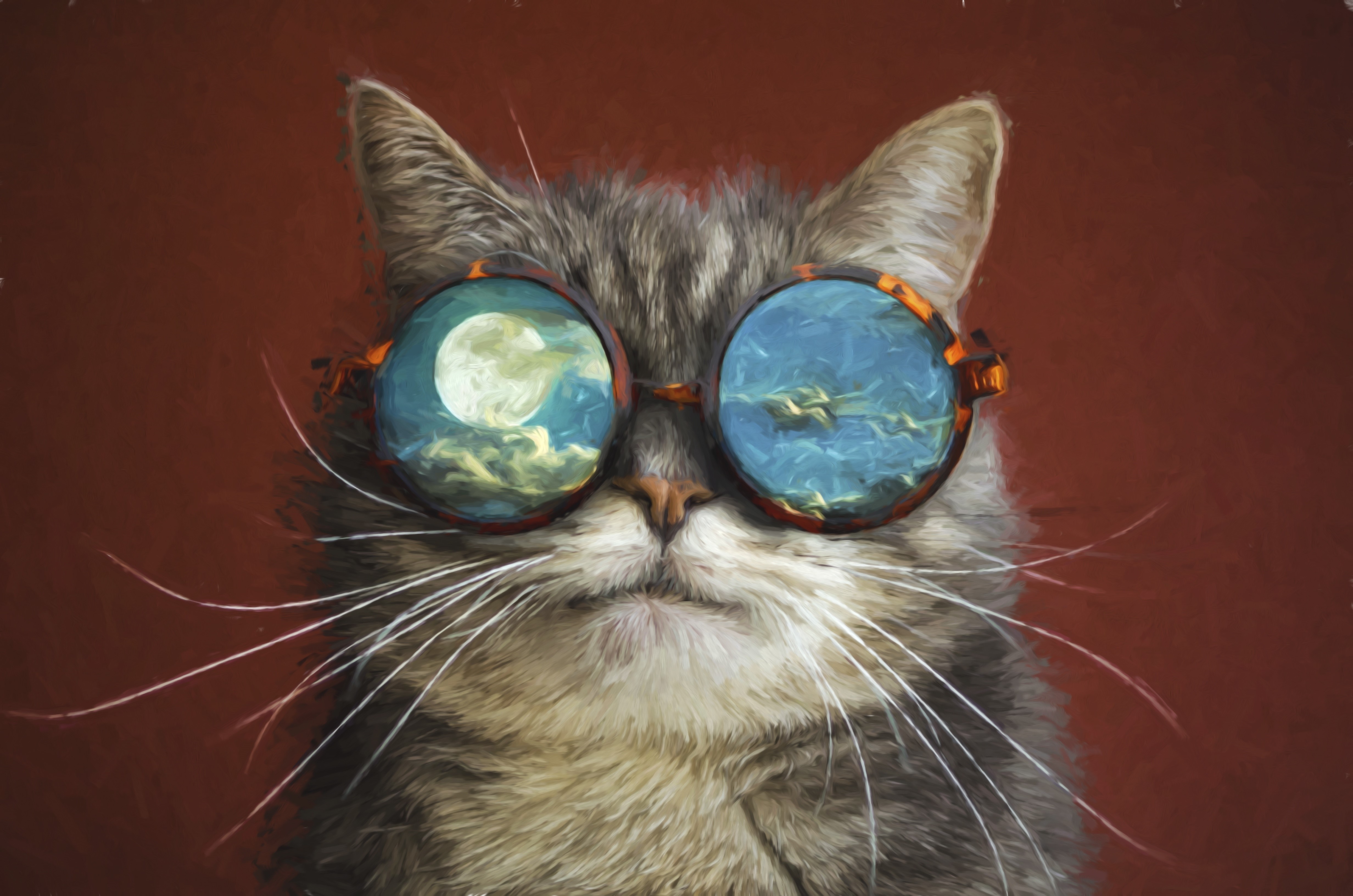 Cat wearing glasses with moon and clouds reflection HD Wallpaper