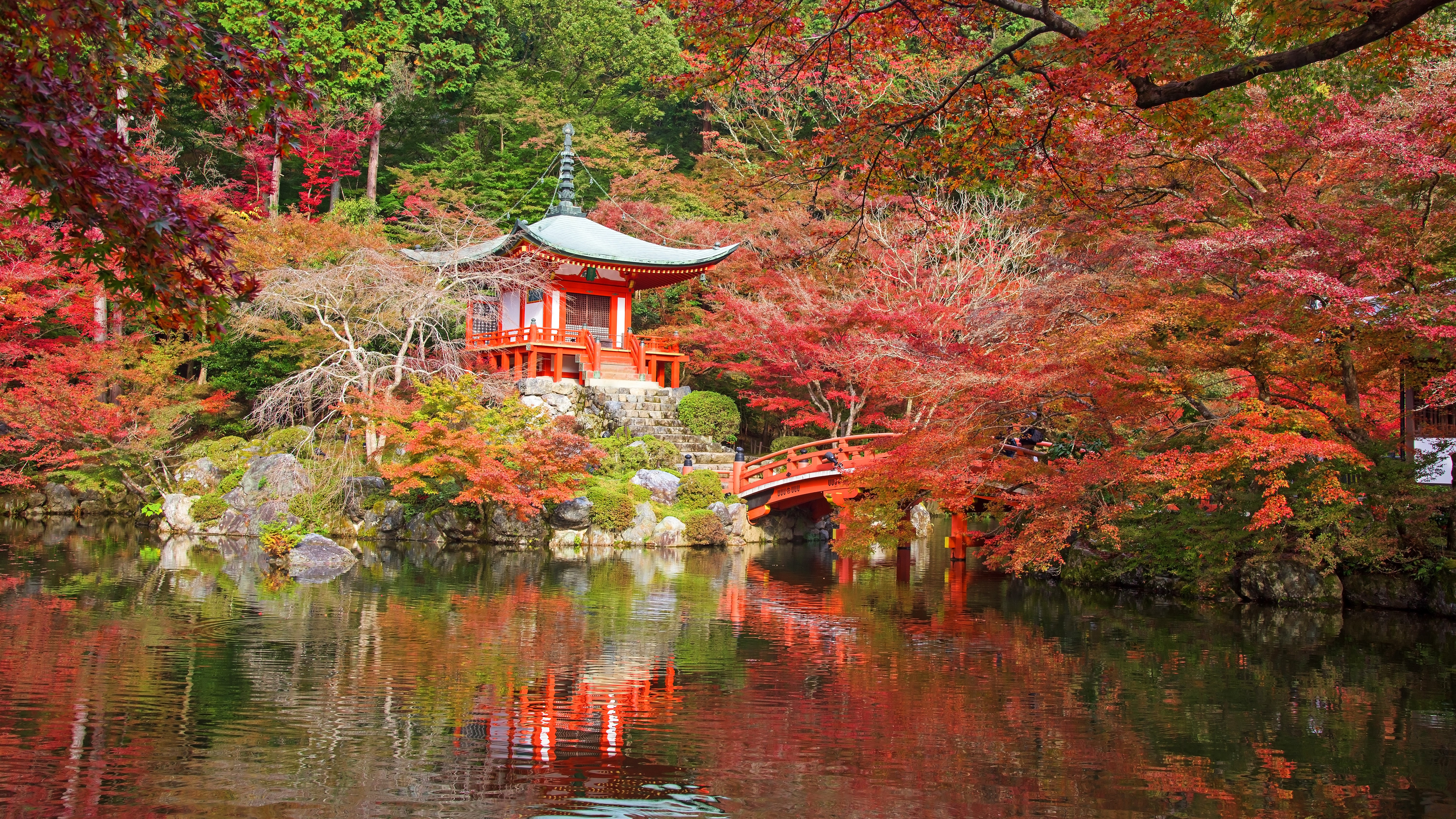 Kyoto Japan Autumn Pagoda Park with Pond HD Wallpaper