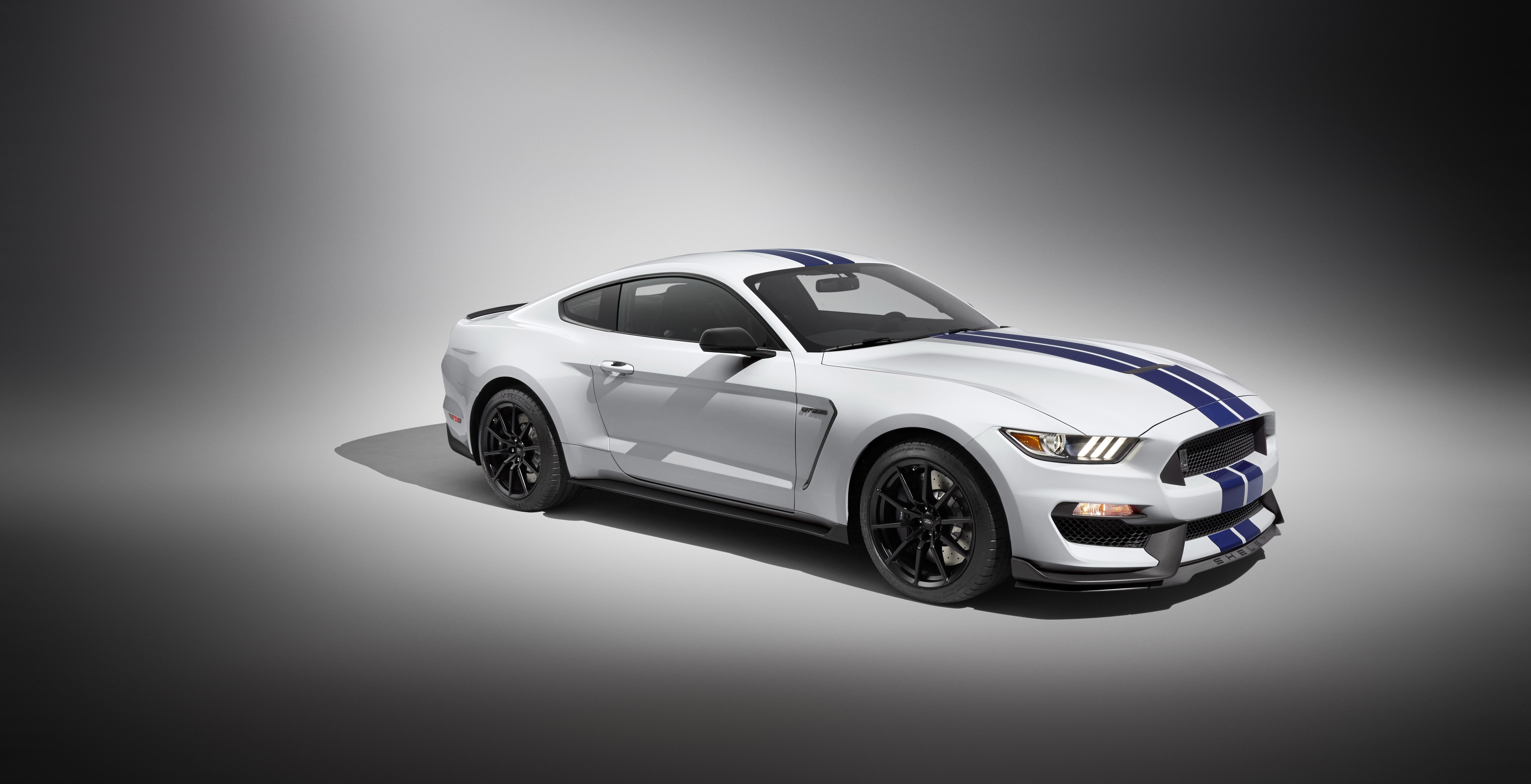 White Ford Mustang GT350 Shelby with Blue Stripes HD Wallpaper