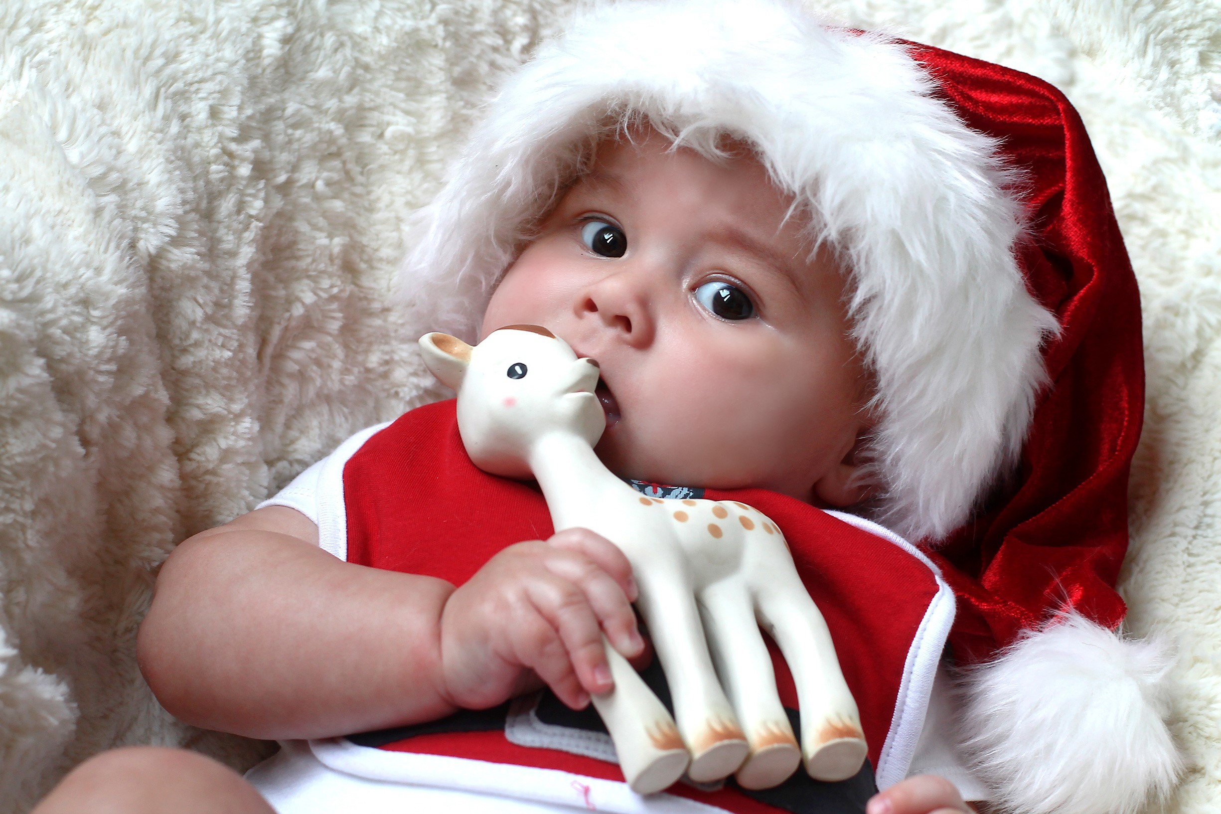 Baby in Santa hat chewing on a toy giraffe HD Wallpaper