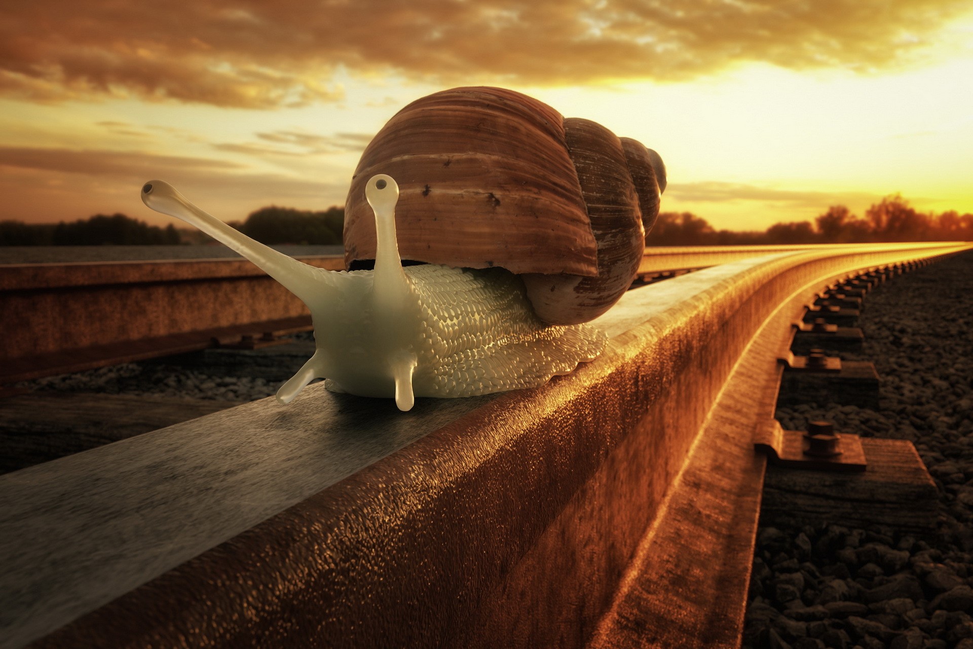 Snail on Railroad Tracks at Sunset HD Wallpaper