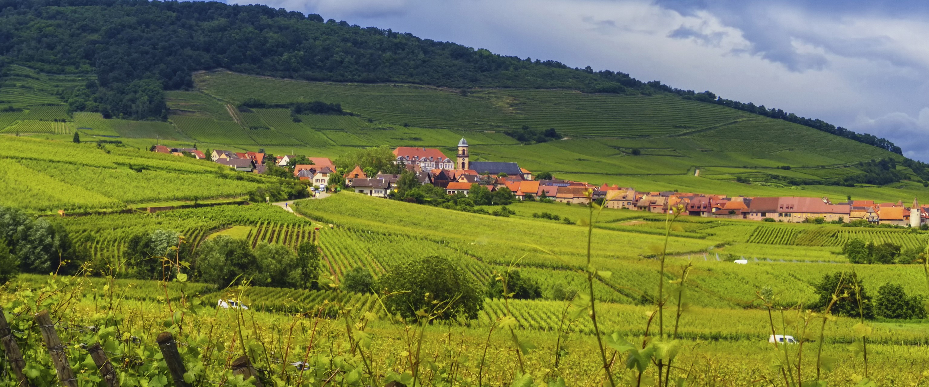 Vineyards and village in the Lavaux region, Switzerland HD Wallpaper