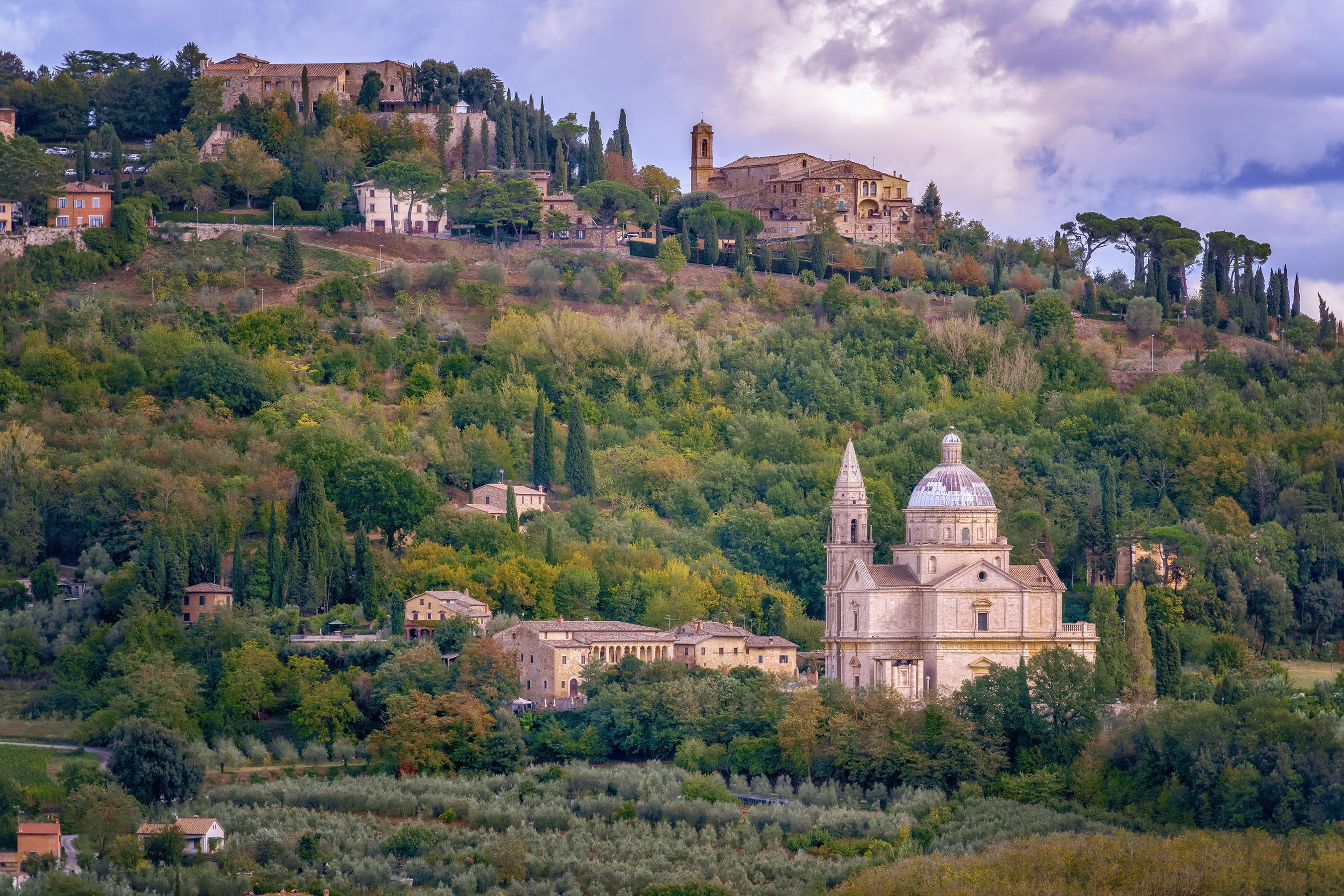 Montepulciano, Italy: Hillside Town with Church and Olive Groves HD Wallpaper