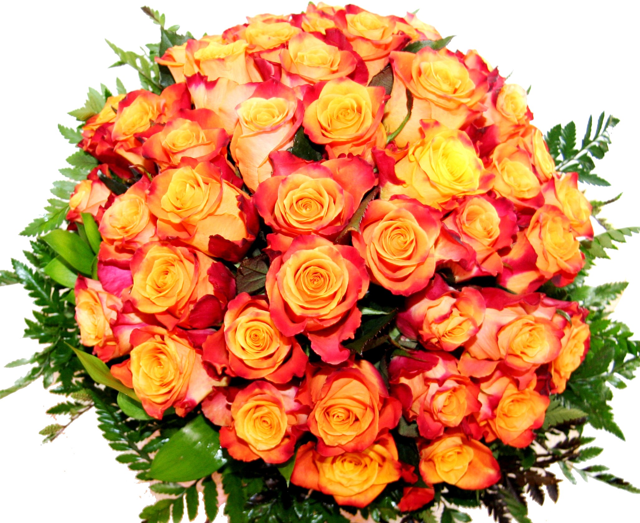 Bouquet of orange and yellow roses with green foliage HD Wallpaper