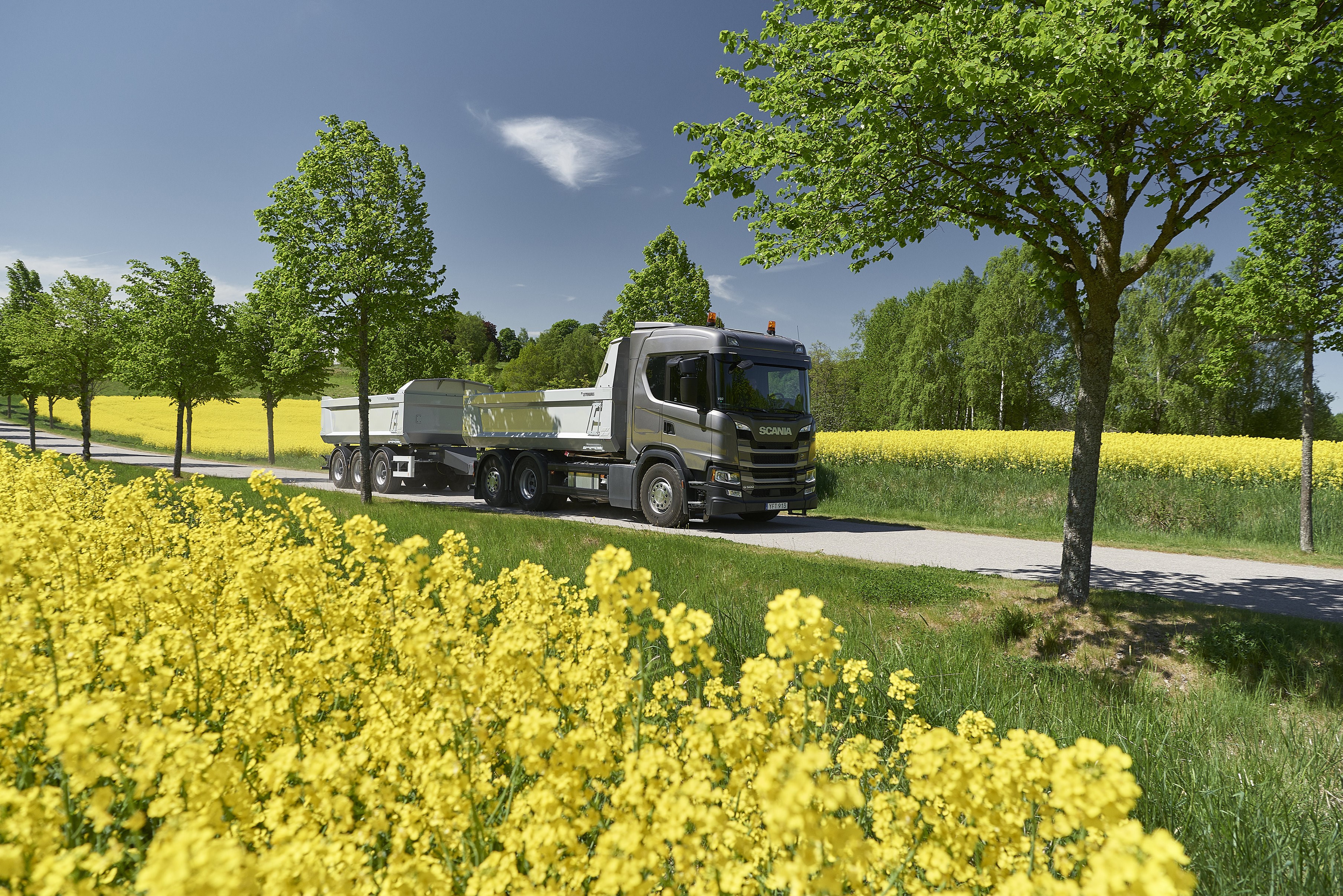 Scania truck driving on a road with canola fields HD Wallpaper