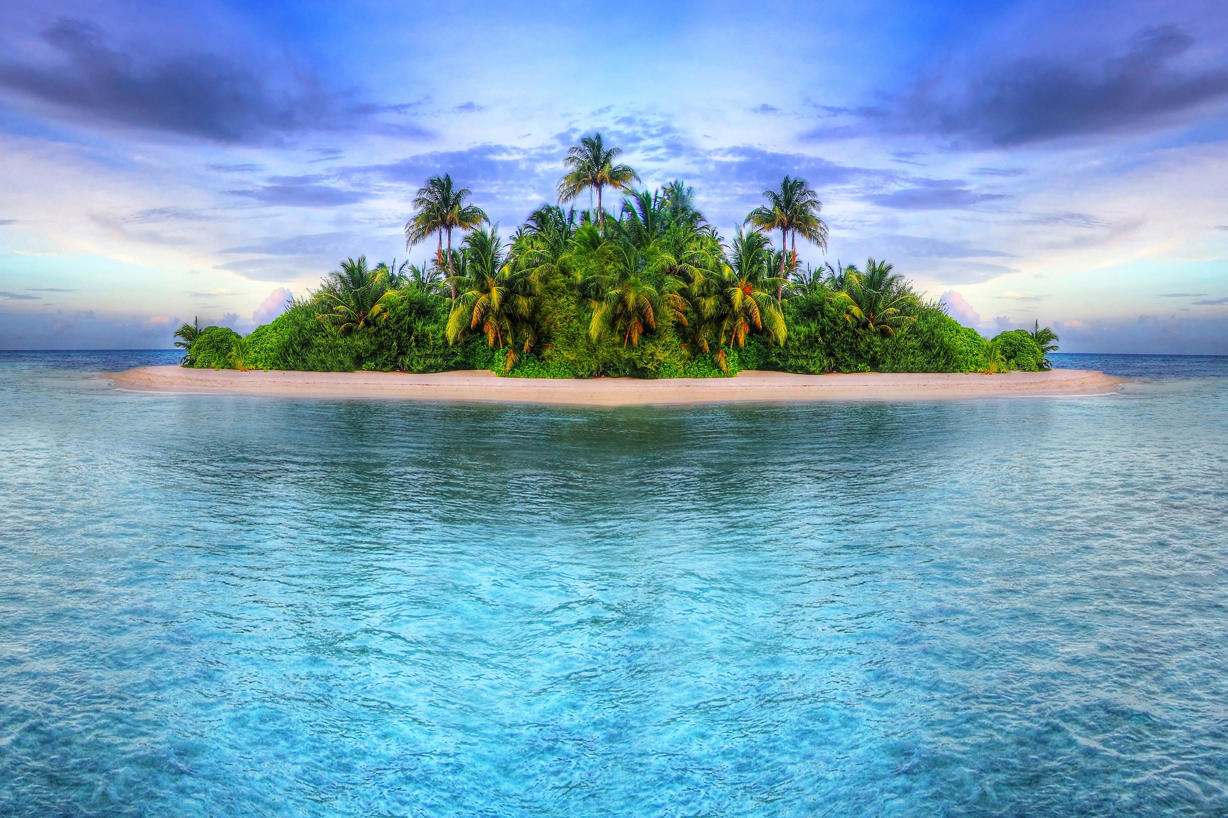 Tropical island with palm trees and ocean HD Wallpaper