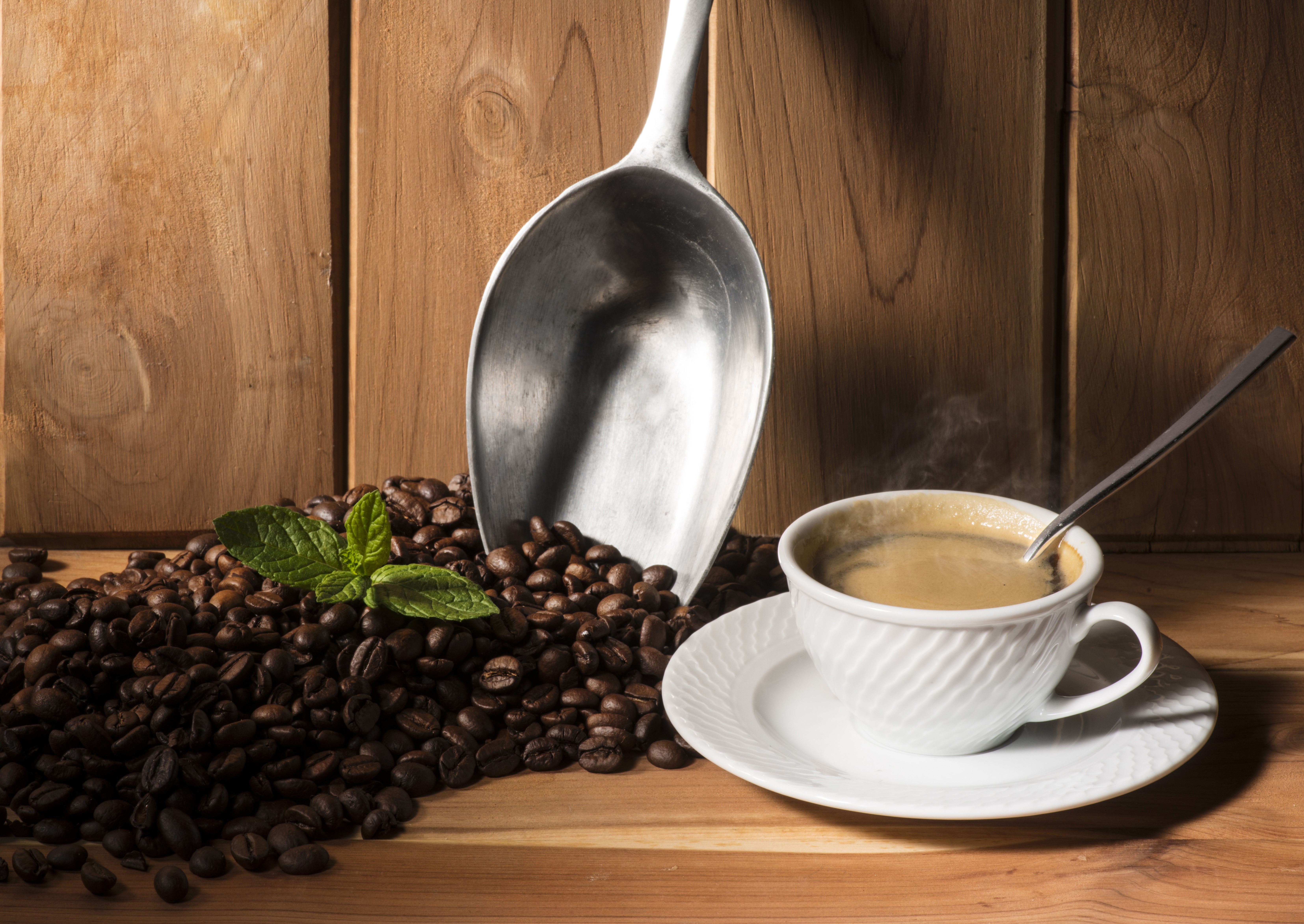 Coffee beans, scoop, and cup of coffee HD Wallpaper