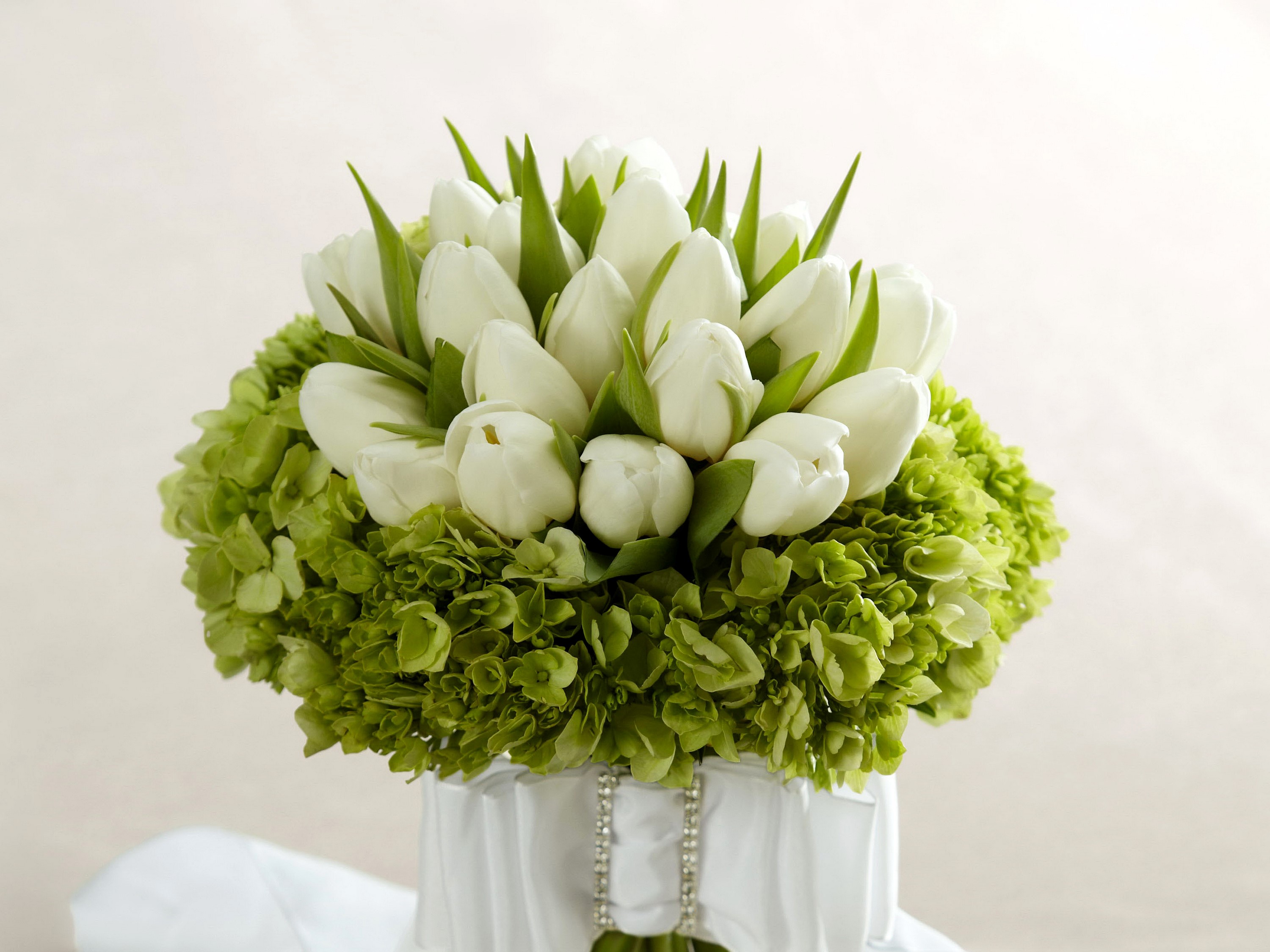 White Tulips and Green Hydrangea Bouquet HD Wallpaper