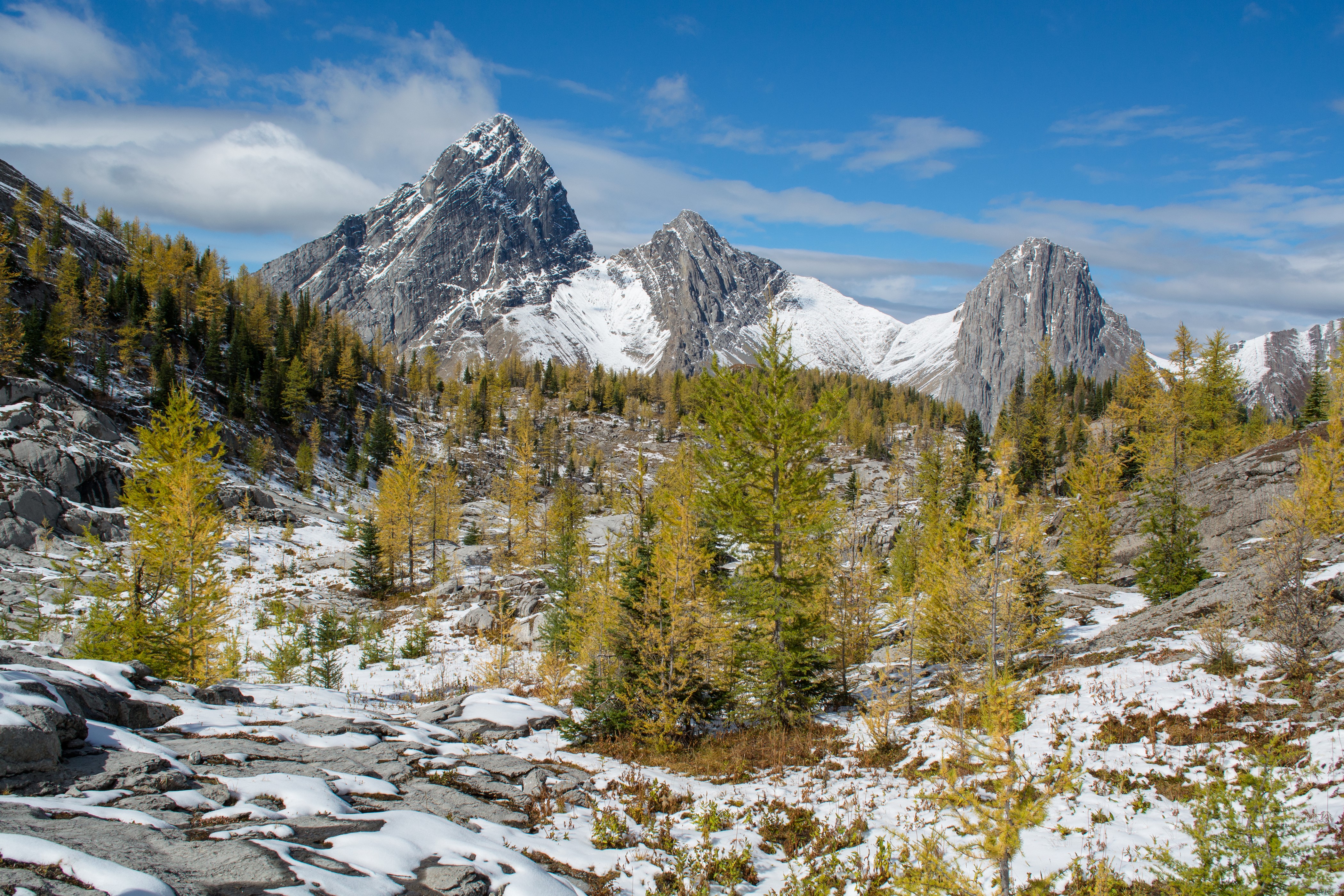 Mountains in Banff National Park, Canada with Snow and Larches HD Wallpaper