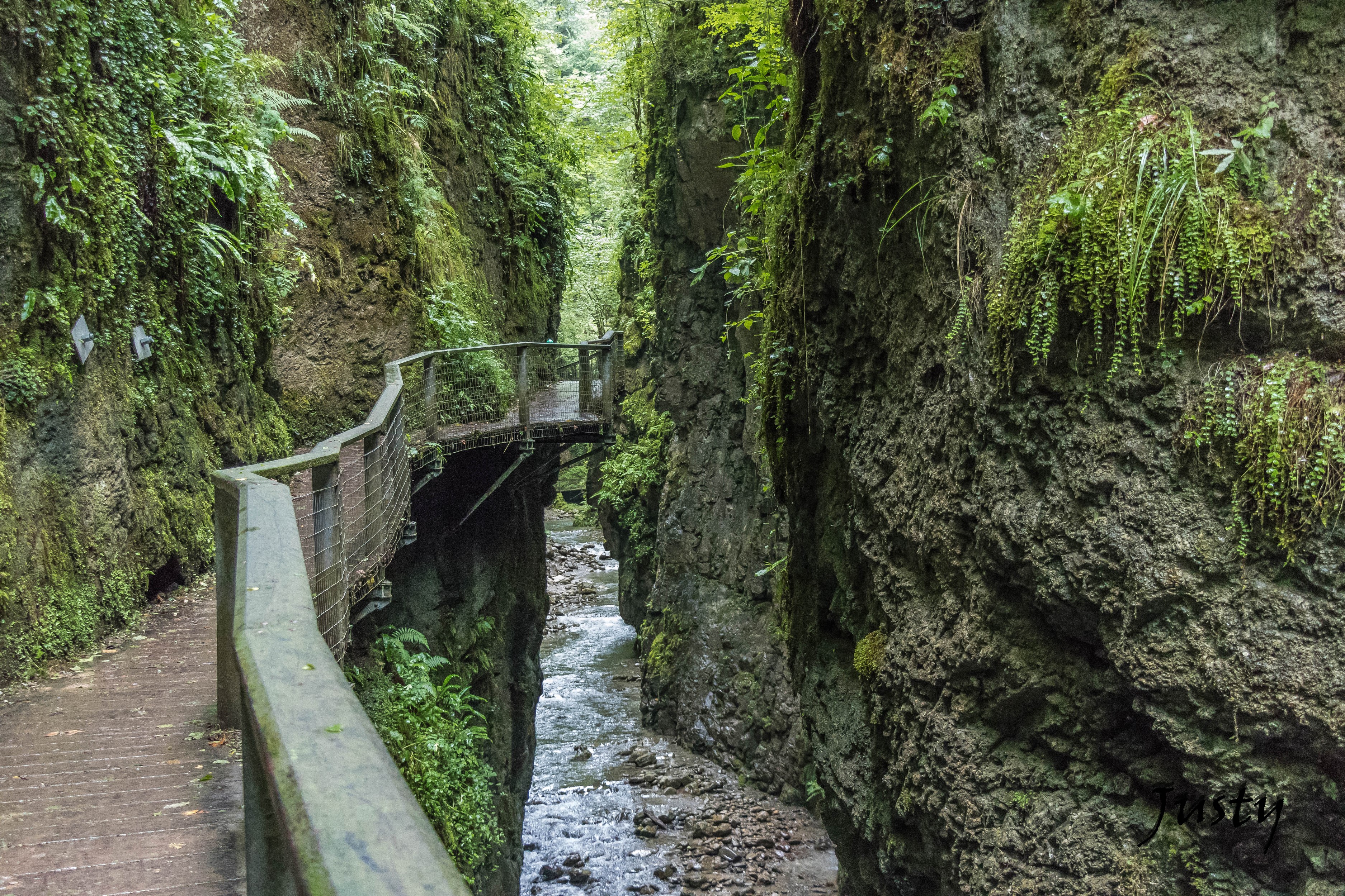 Gorges Kakouetta, France: A wooden walkway along a river in a mossy canyon HD Wallpaper