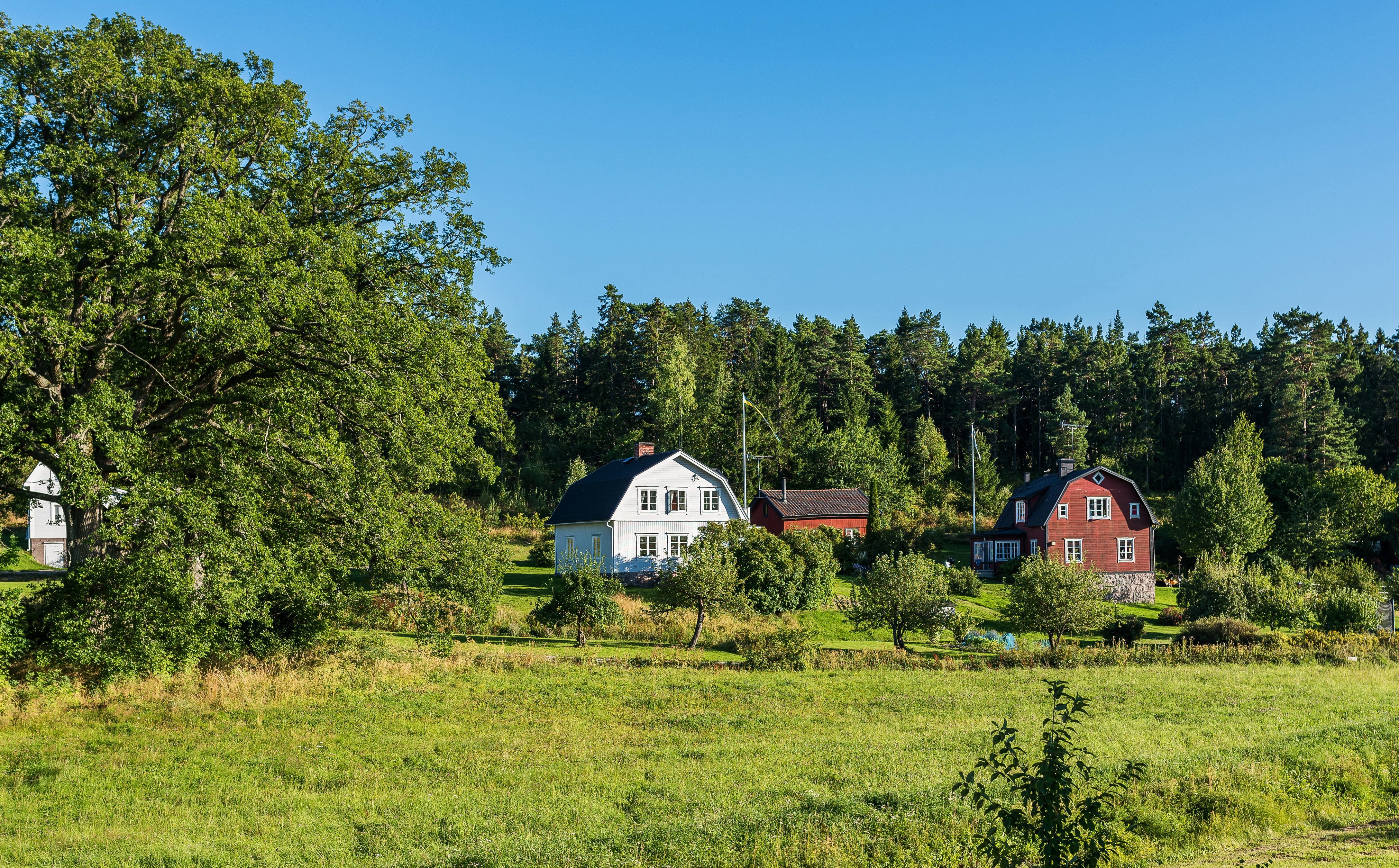 Sweden Stockholm Houses Grass 4K HD Wallpaper