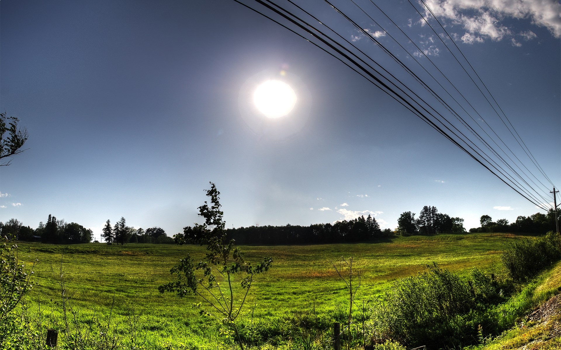 Sunny Field with Power Lines and Trees HD Wallpaper