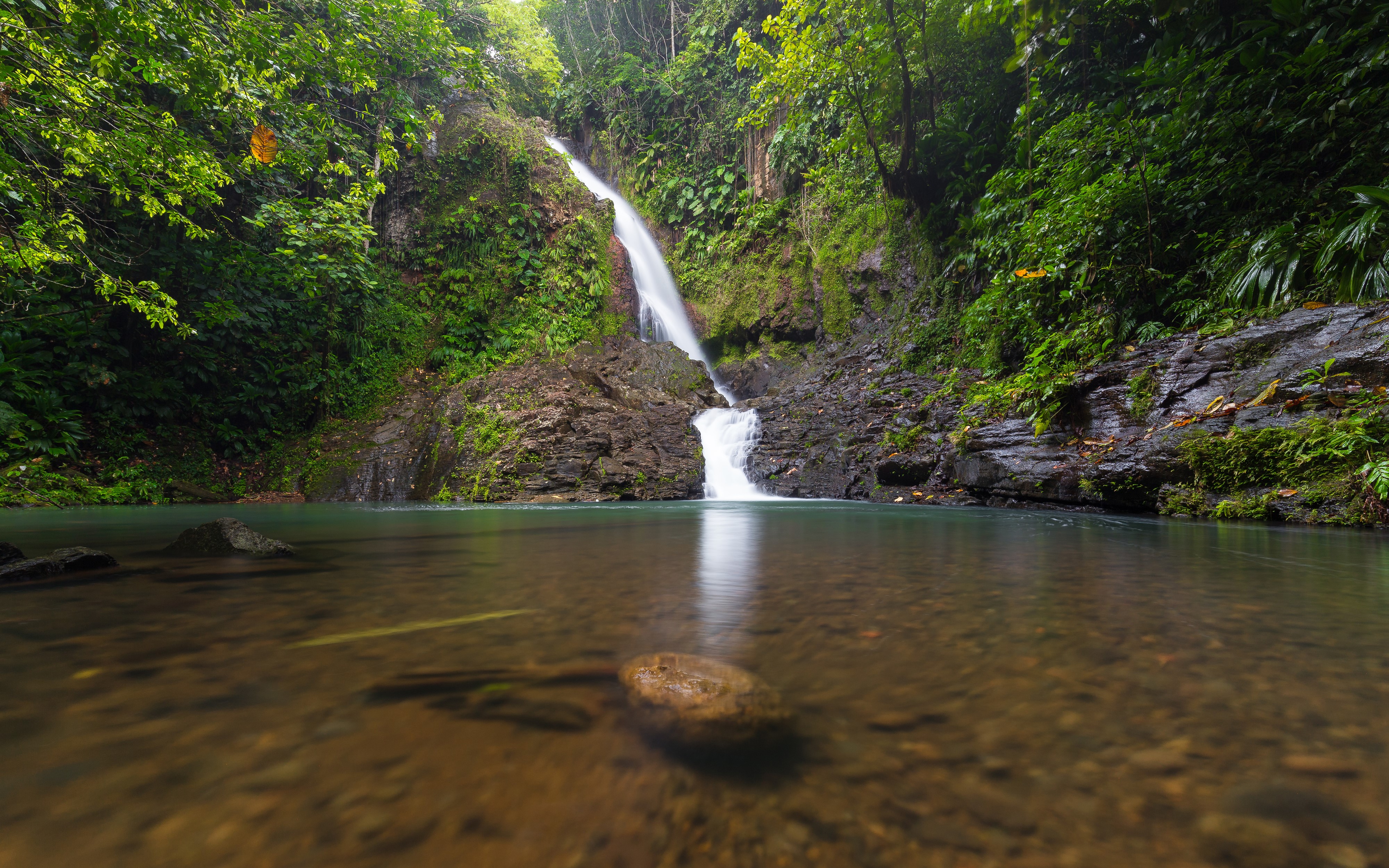 Waterfall in Guadeloupe Basse-Terre Tropics HD Wallpaper