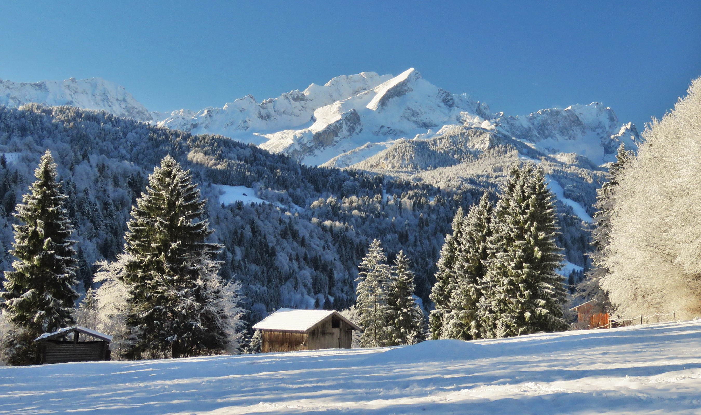 Winter landscape with snow-covered mountains and spruce trees in Garmisch Partenkirchen, Germany HD Wallpaper