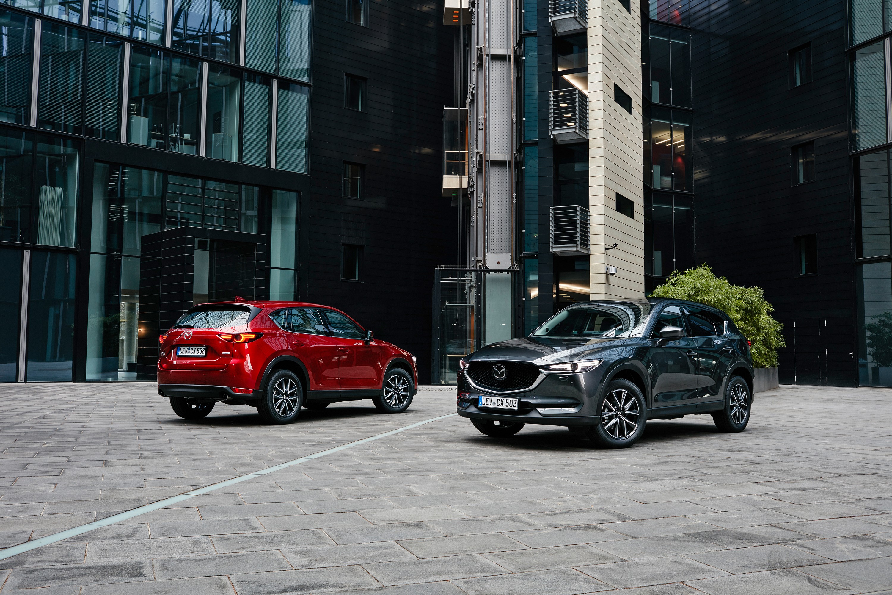 Two Mazda CX-5 cars in front of modern buildings HD Wallpaper