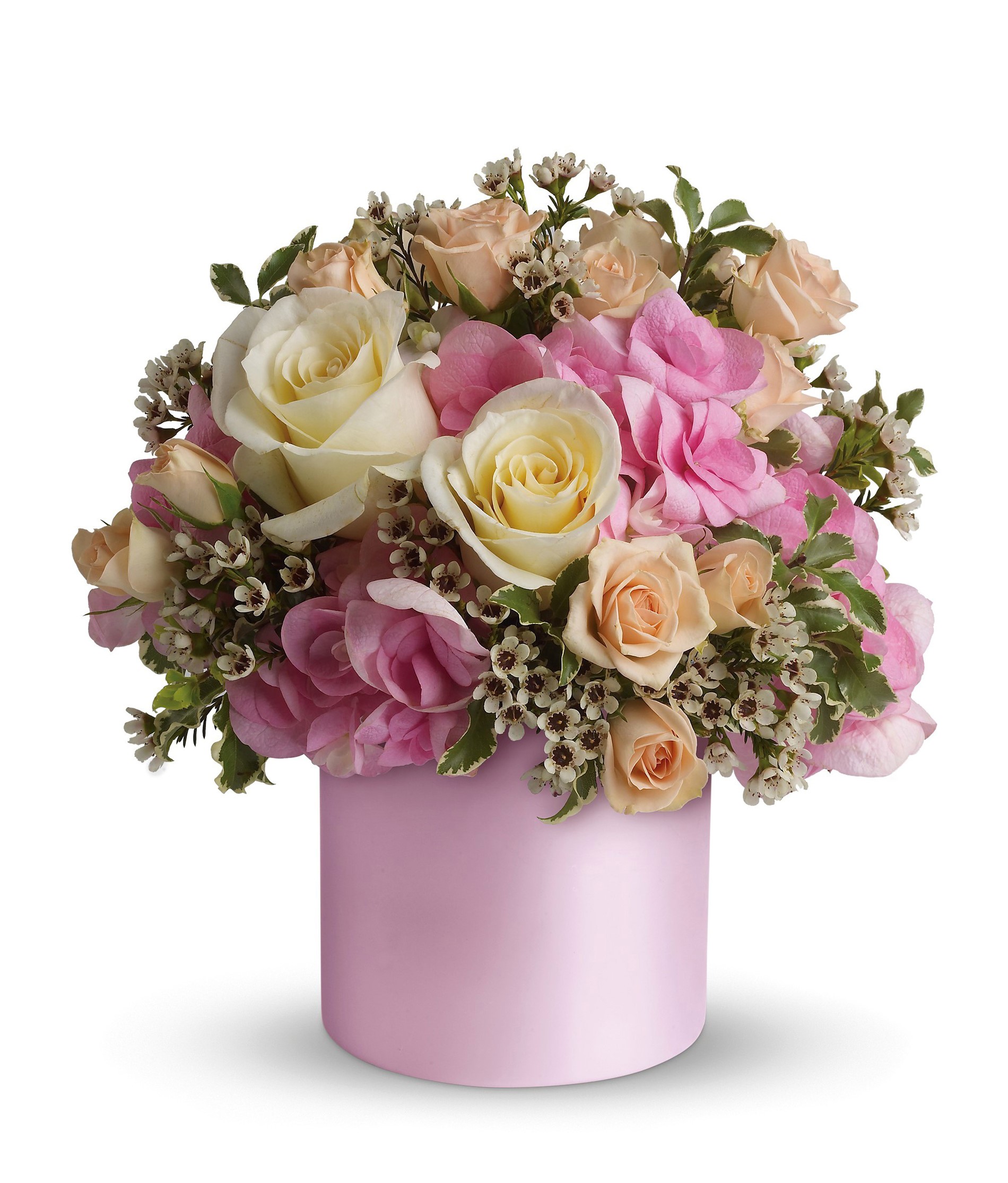 Pink and cream rose bouquet in a pink box HD Wallpaper