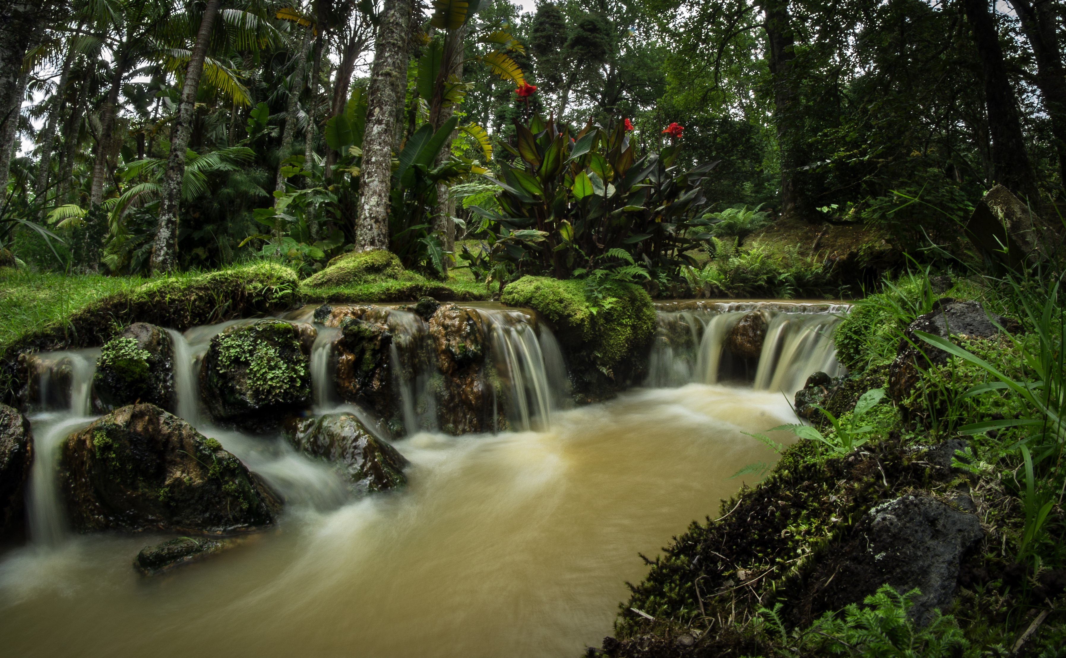 Waterfall in Terra Nostra Gardens, Azores, Portugal HD Wallpaper