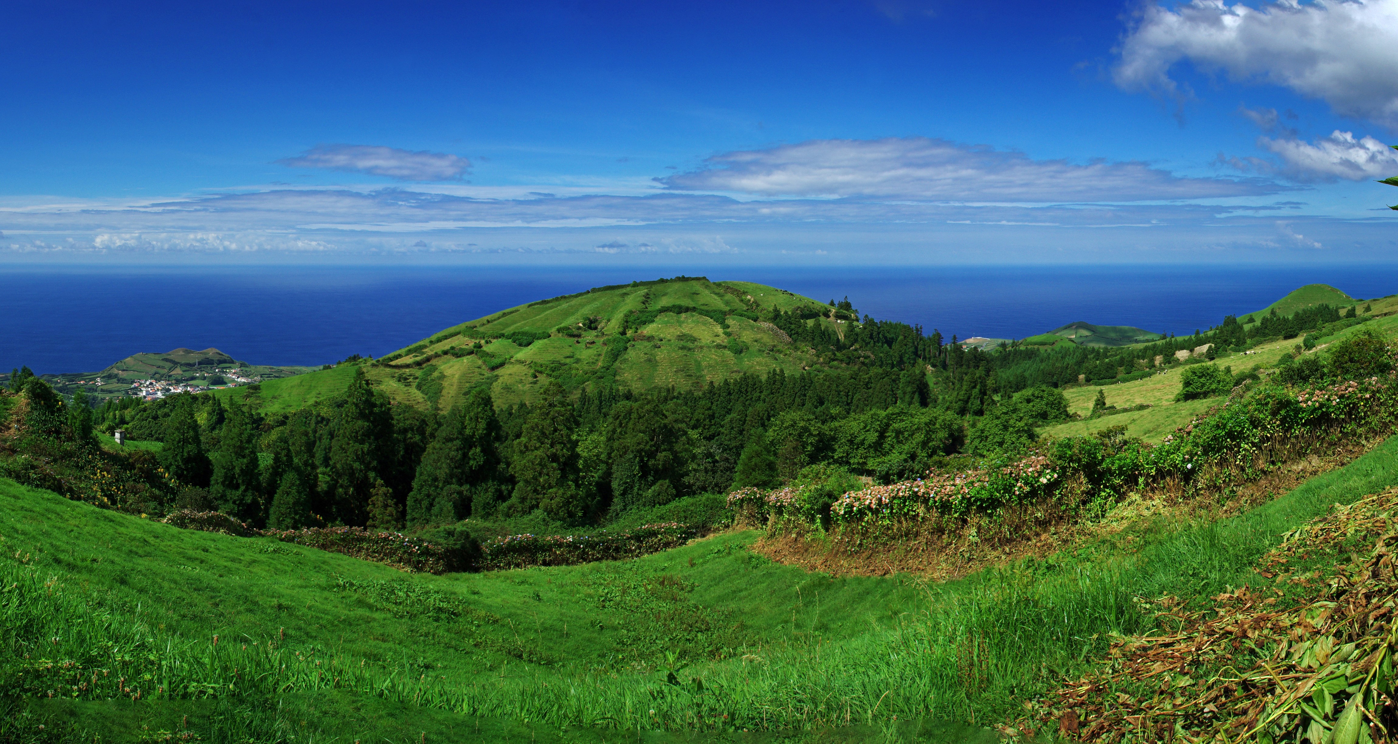 Sao Miguel Azores Portugal Coast Hill Grass HD Wallpaper