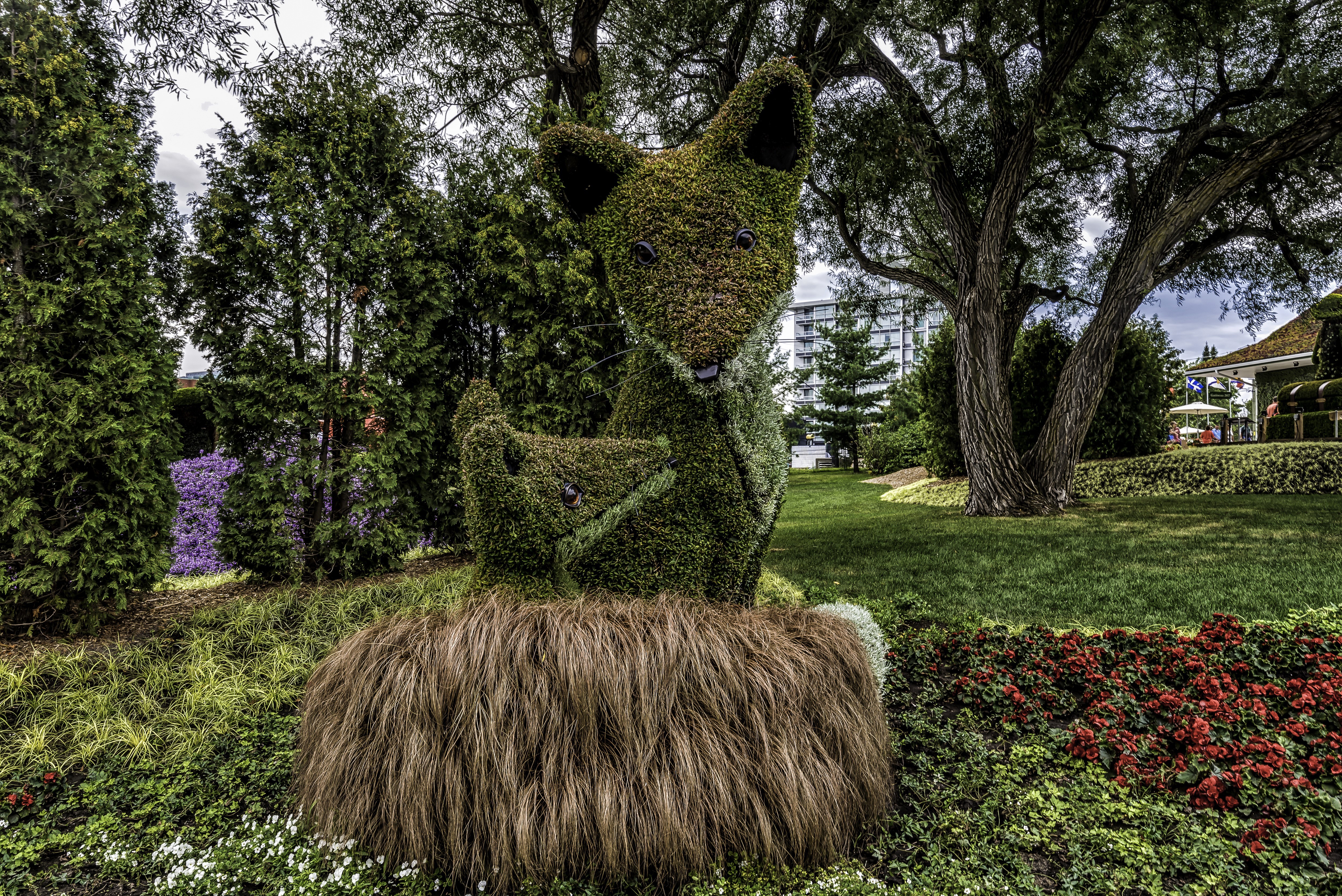 Topiary fox sculpture in a park in Ottawa, Ontario, Canada HD Wallpaper