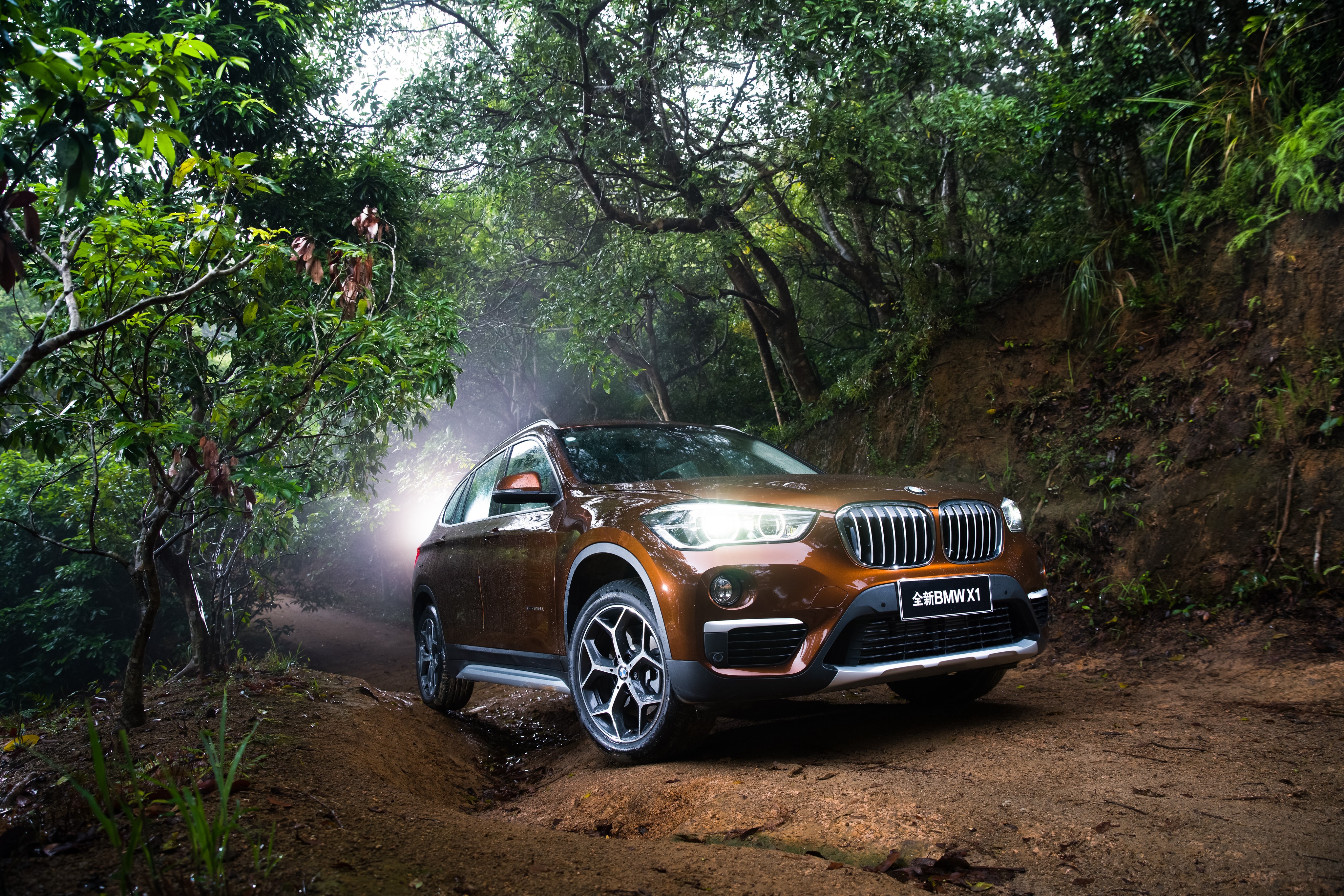 4K 2016 BMW X1 xDrive25Li xLine in Forest HD Wallpaper