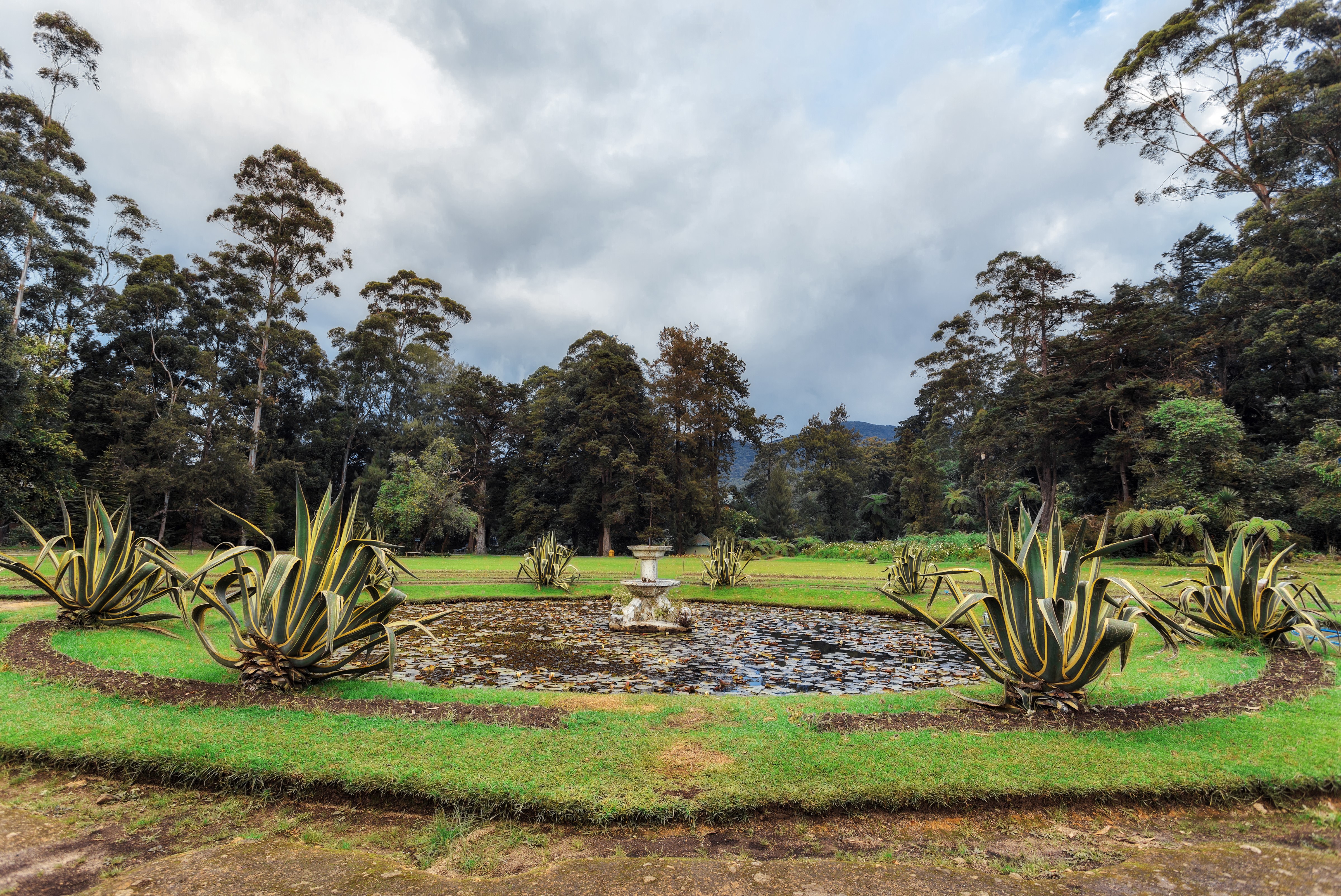 Queen Victoria Park Fountain, Sri Lanka HD Wallpaper