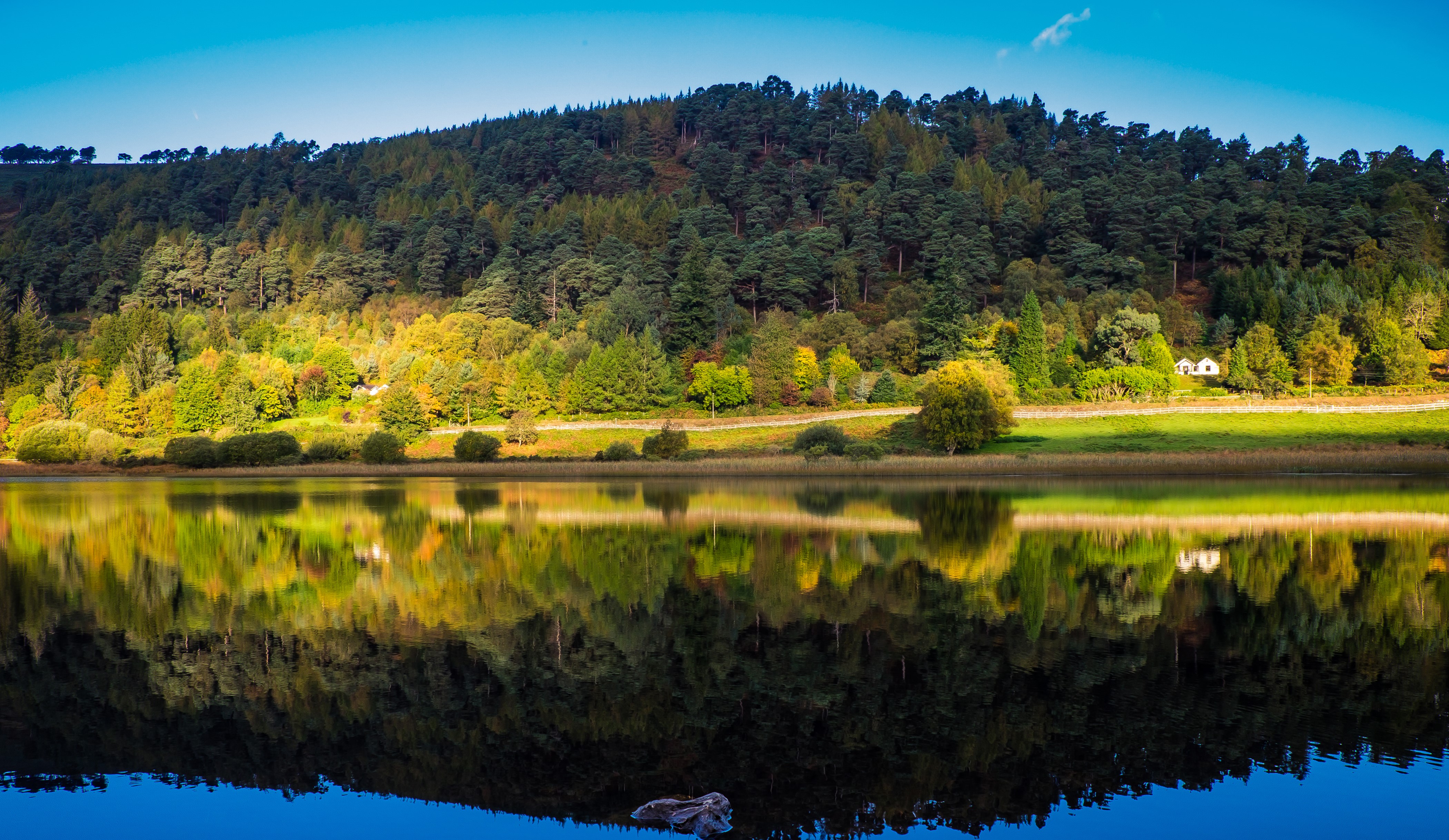 Autumn forest reflection in a lake in Wicklow, Ireland HD Wallpaper