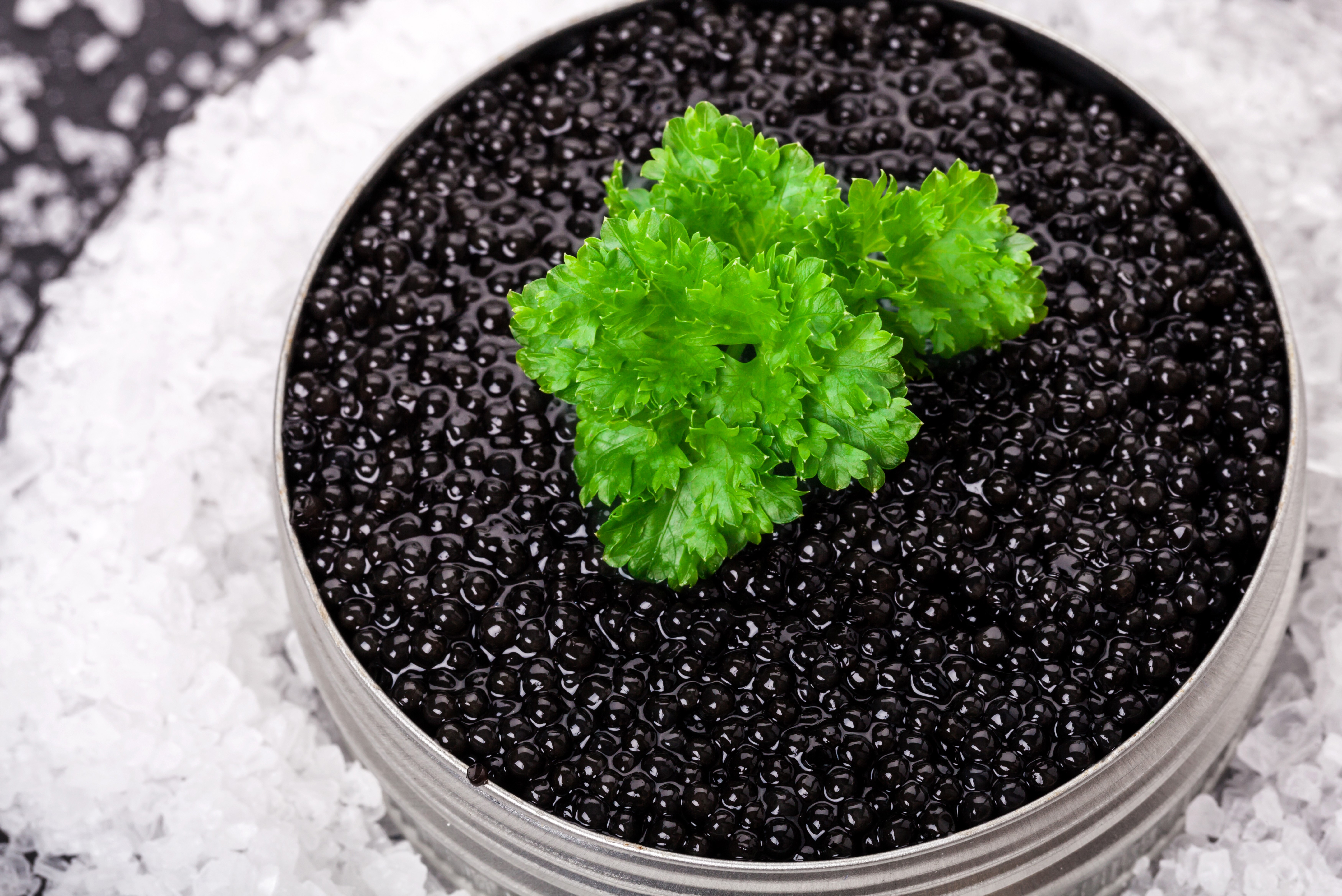 Black Caviar in a Metal Bowl with Parsley HD Wallpaper