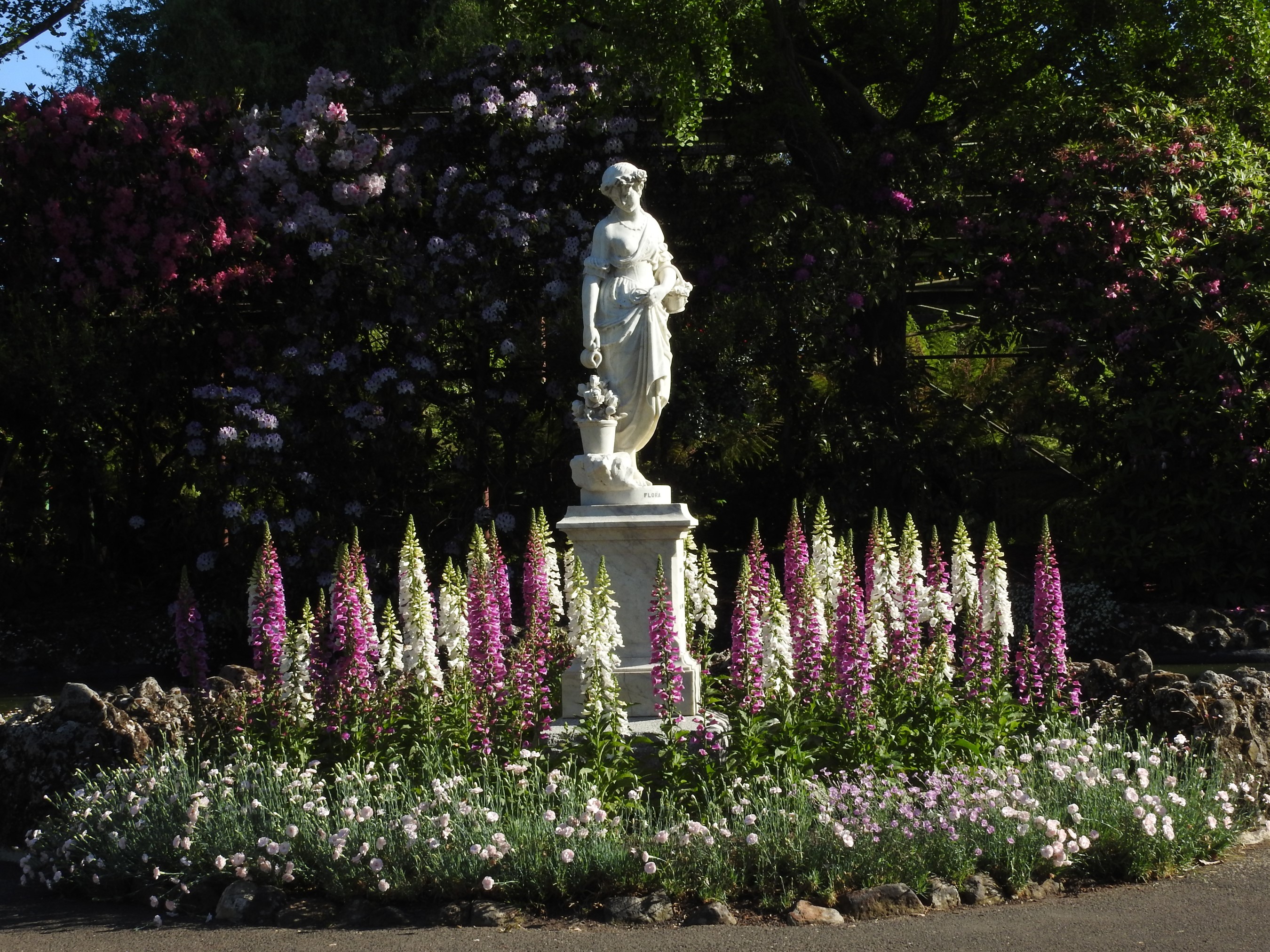 Statue in Ballarat Botanic Gardens with Foxgloves HD Wallpaper